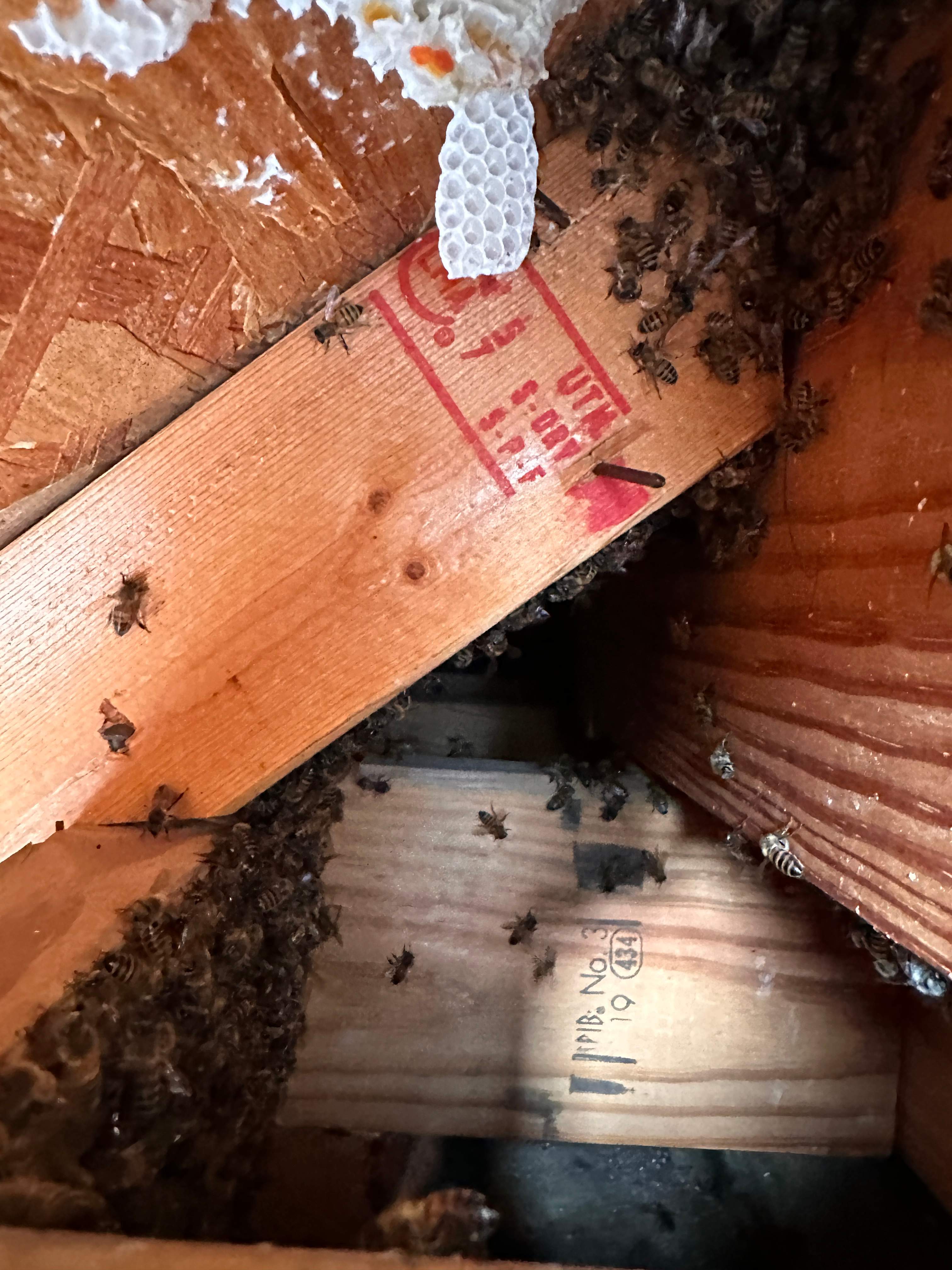 Heartfelt by Rockwall Honey Bee Company