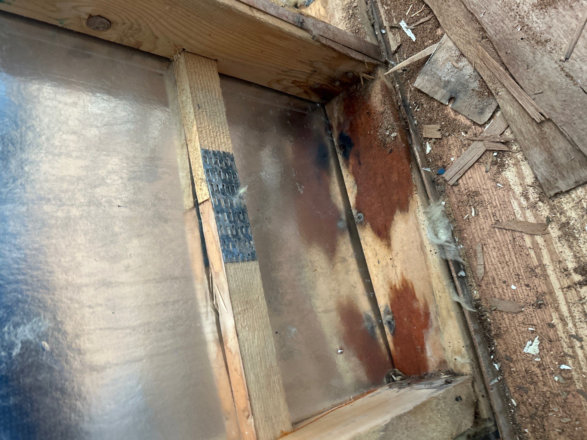 Mold Remediation Bradenton by Ampm Restoration Services 