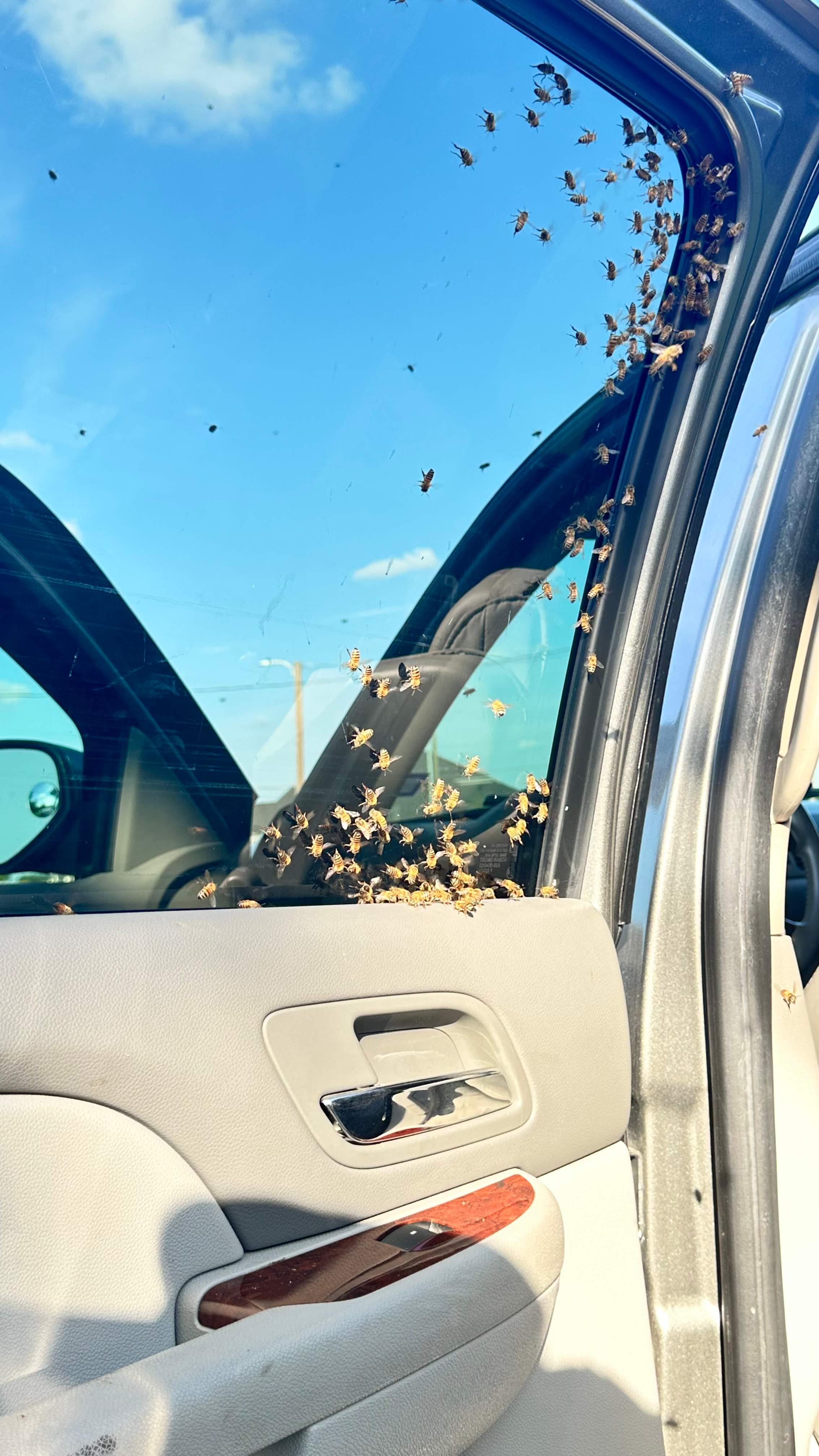 Irrigation Box by Rockwall Honey Bee Company