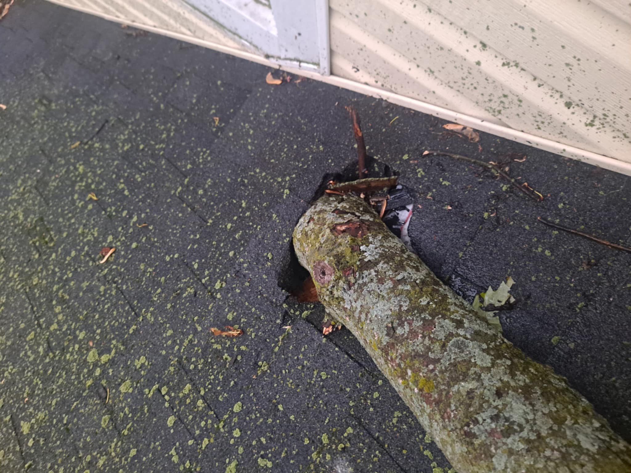 CPM ROOF featured photo.