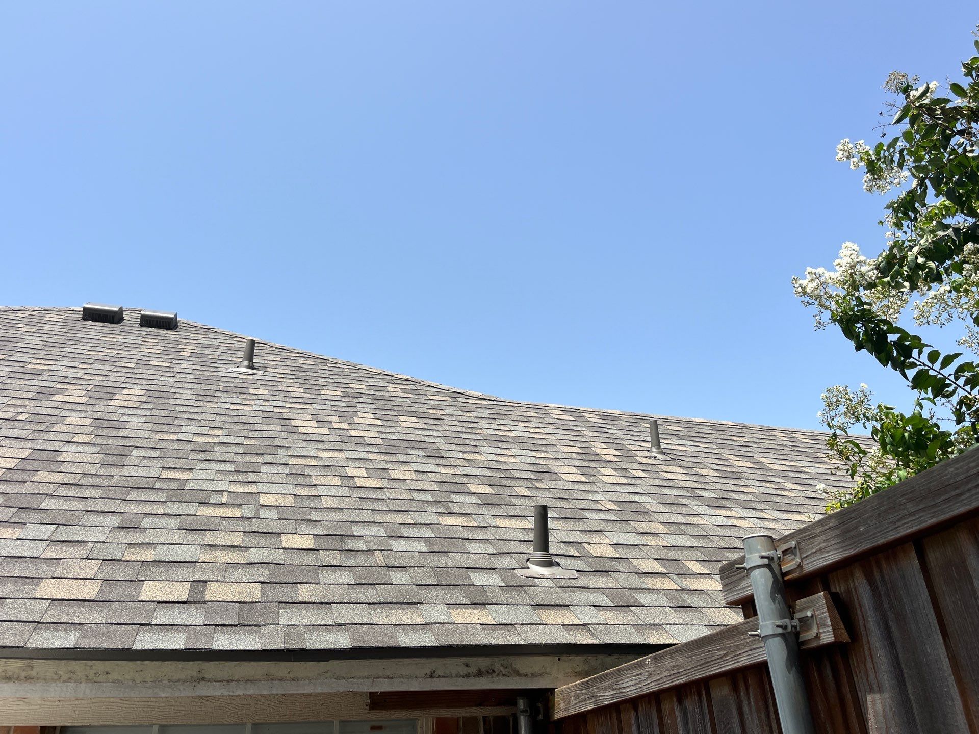 Red brick with IKO Cornerstone  by Tejas Roofworks + Restoration