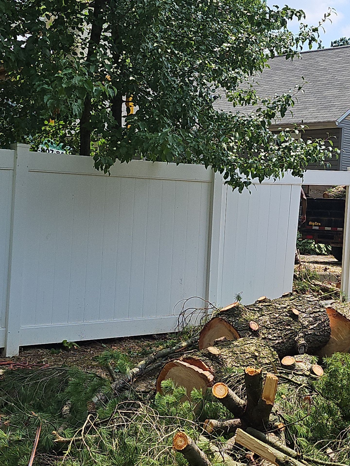 Tree Removal using Tree Removal by Mike Jones & Sons Tree Service LLC 