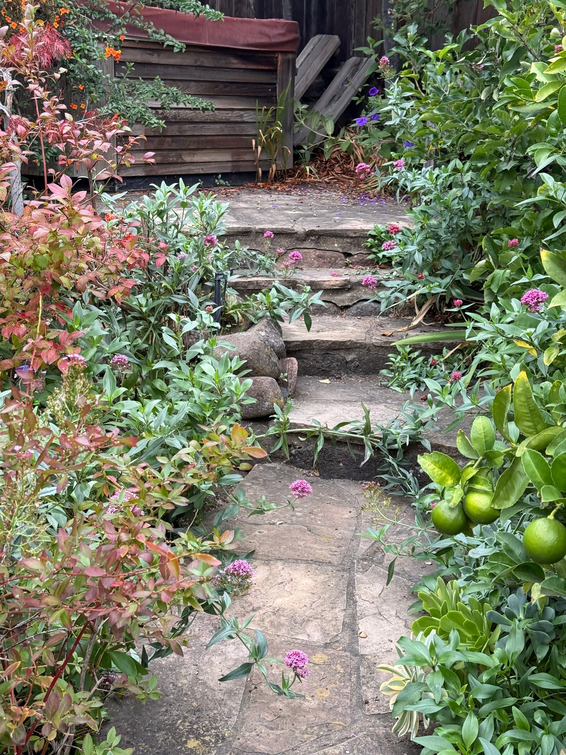 Full back garden refresh by SpotFree Window Cleaning