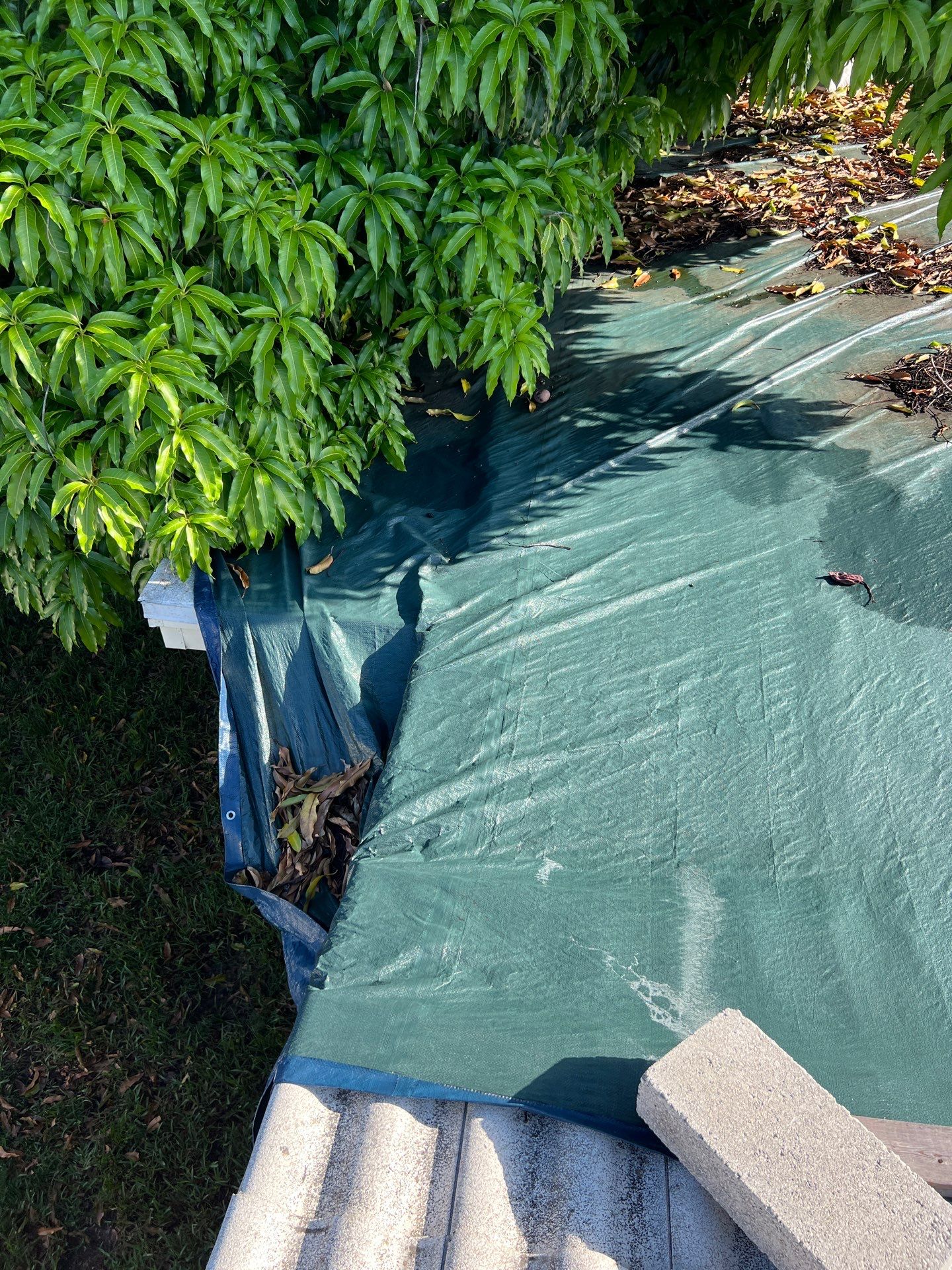 Project in Largo 33774 by Mitchell Roofing Company LLC 