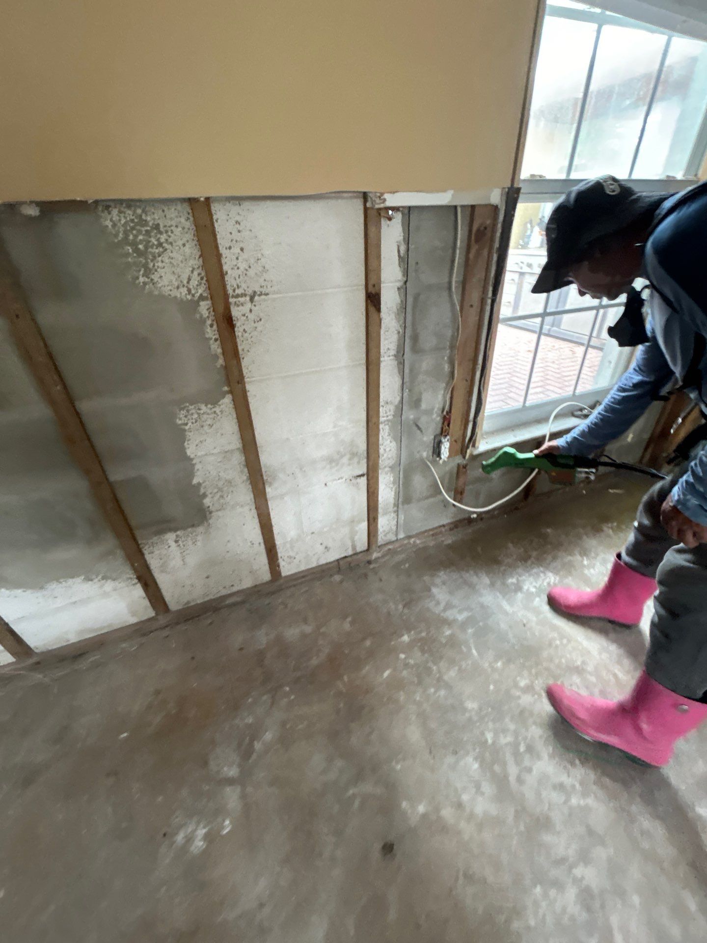 Mold Remediation + Reconstruction Bradenton by Ampm Restoration Services