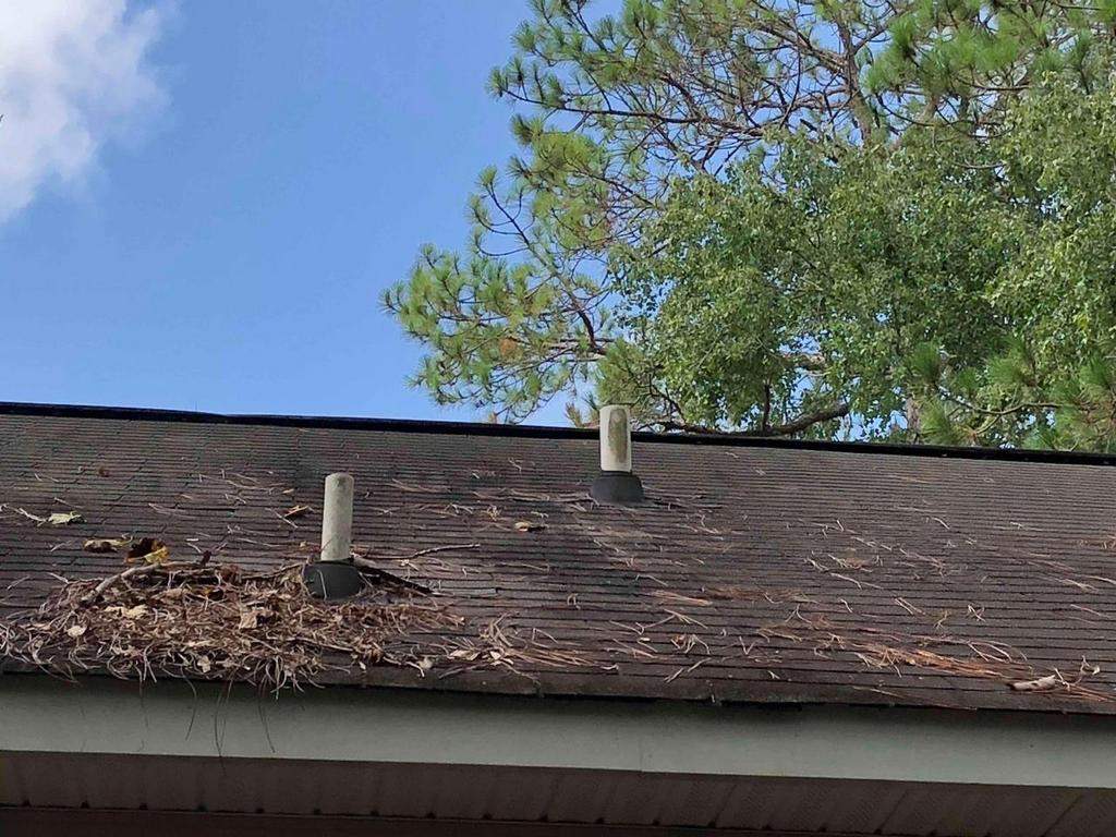 Residential Roofing Installation using Owens Corning Oakridge- Williamsburg Gray by Indigo State Roofing