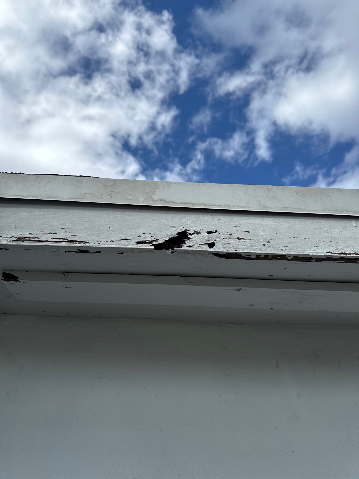 Residential Full Exterior  by John “The Greek” Painting