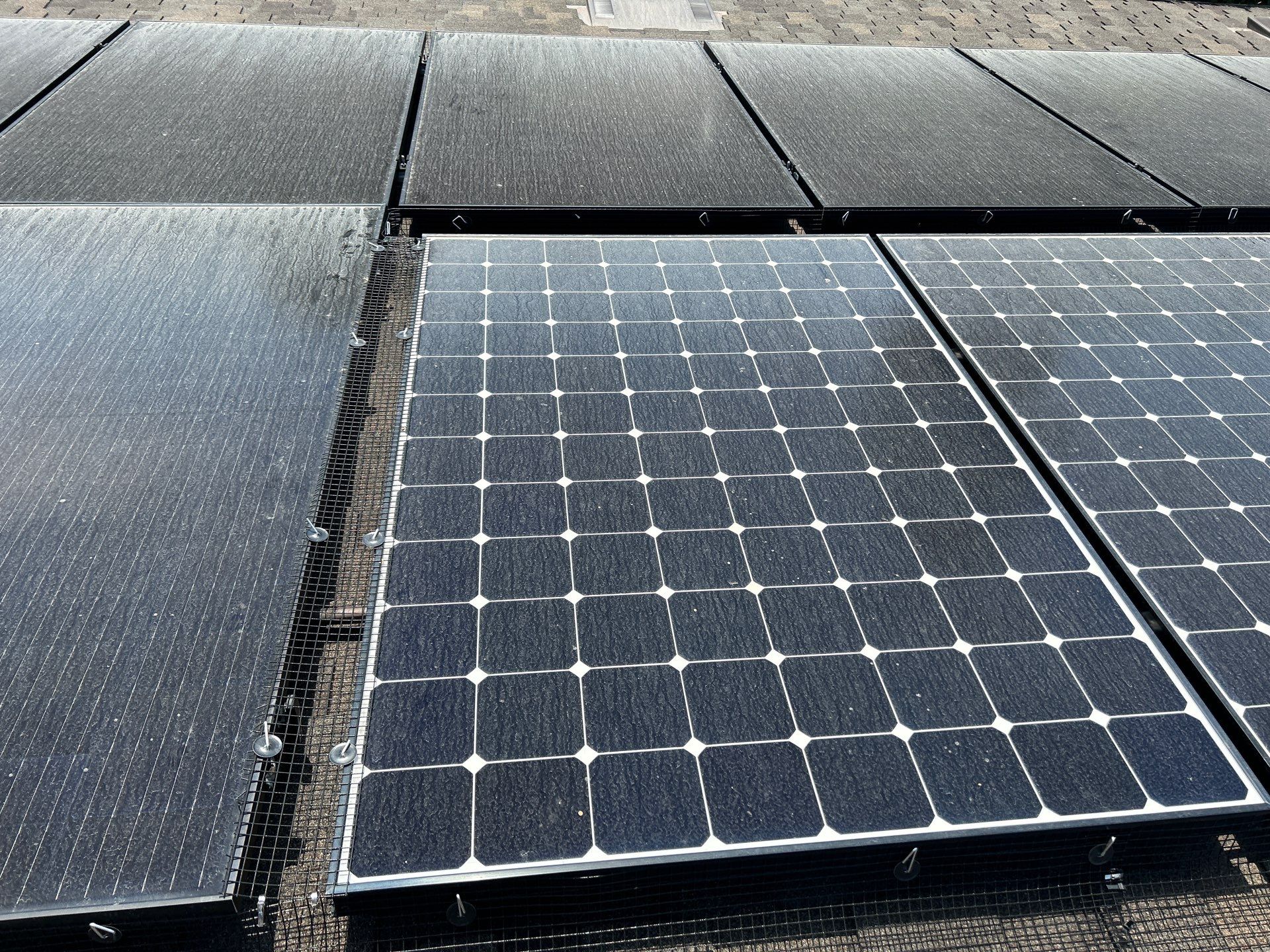 Solar Panel Critter Guard Installation by All One Solar Shine
