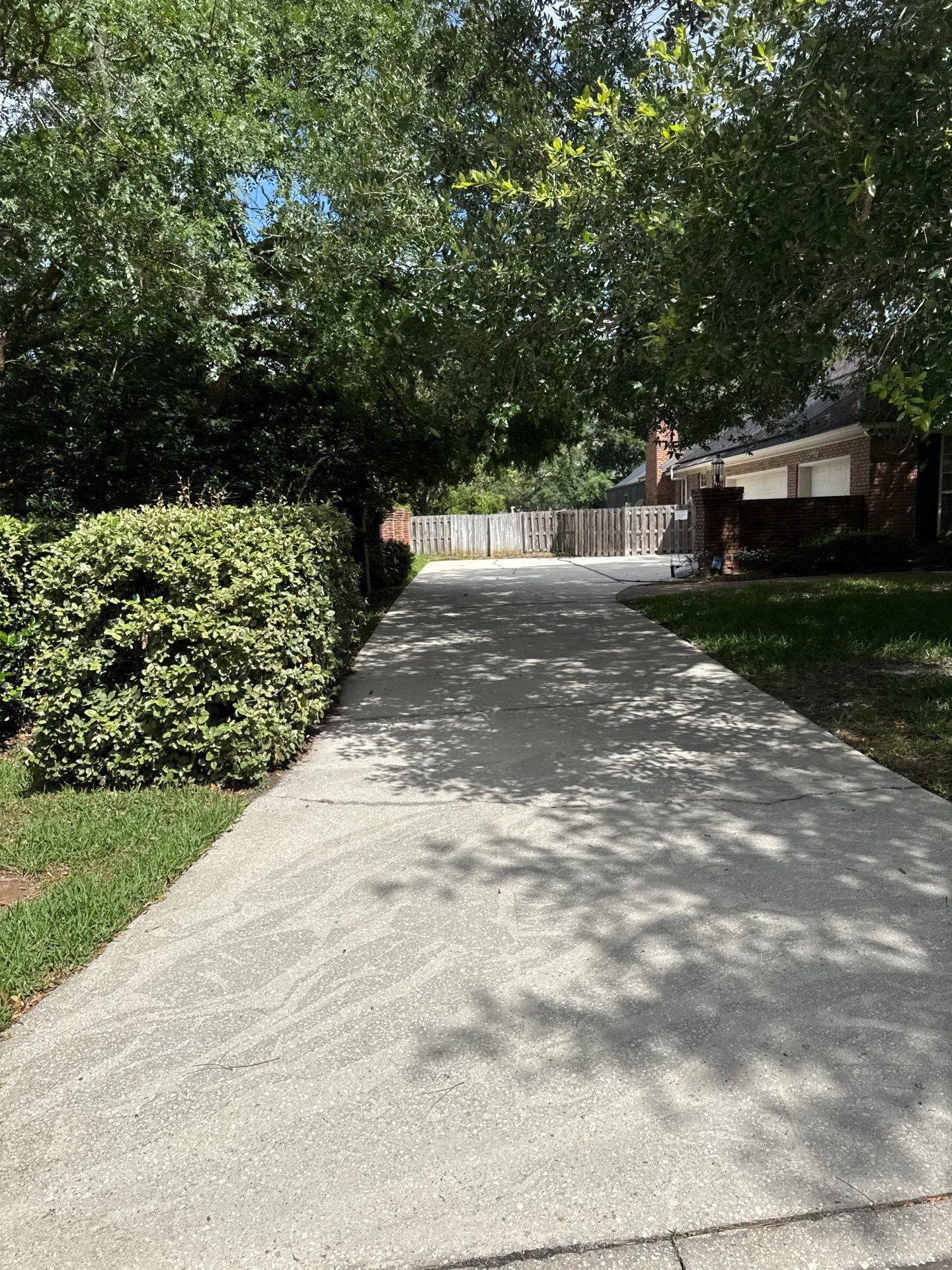 Deerwood Resident | Tree Trimming by ProGreen Services