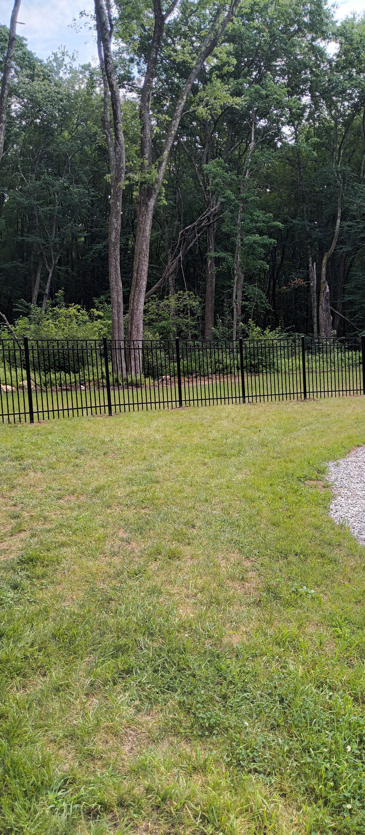 New 5' Tall Aluminum fence with matching arched gates, Black by DiGiorgi Roofing and Siding Inc