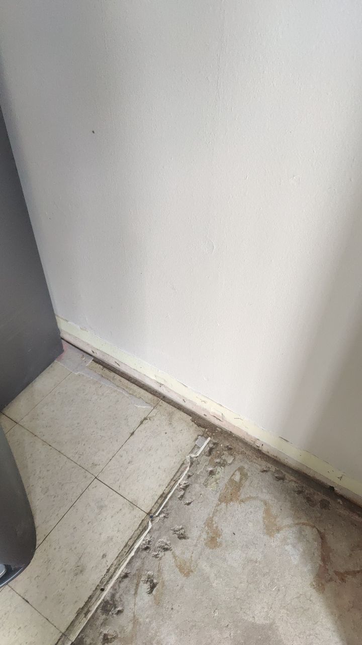 Mold Remediation by Accountable Home Services