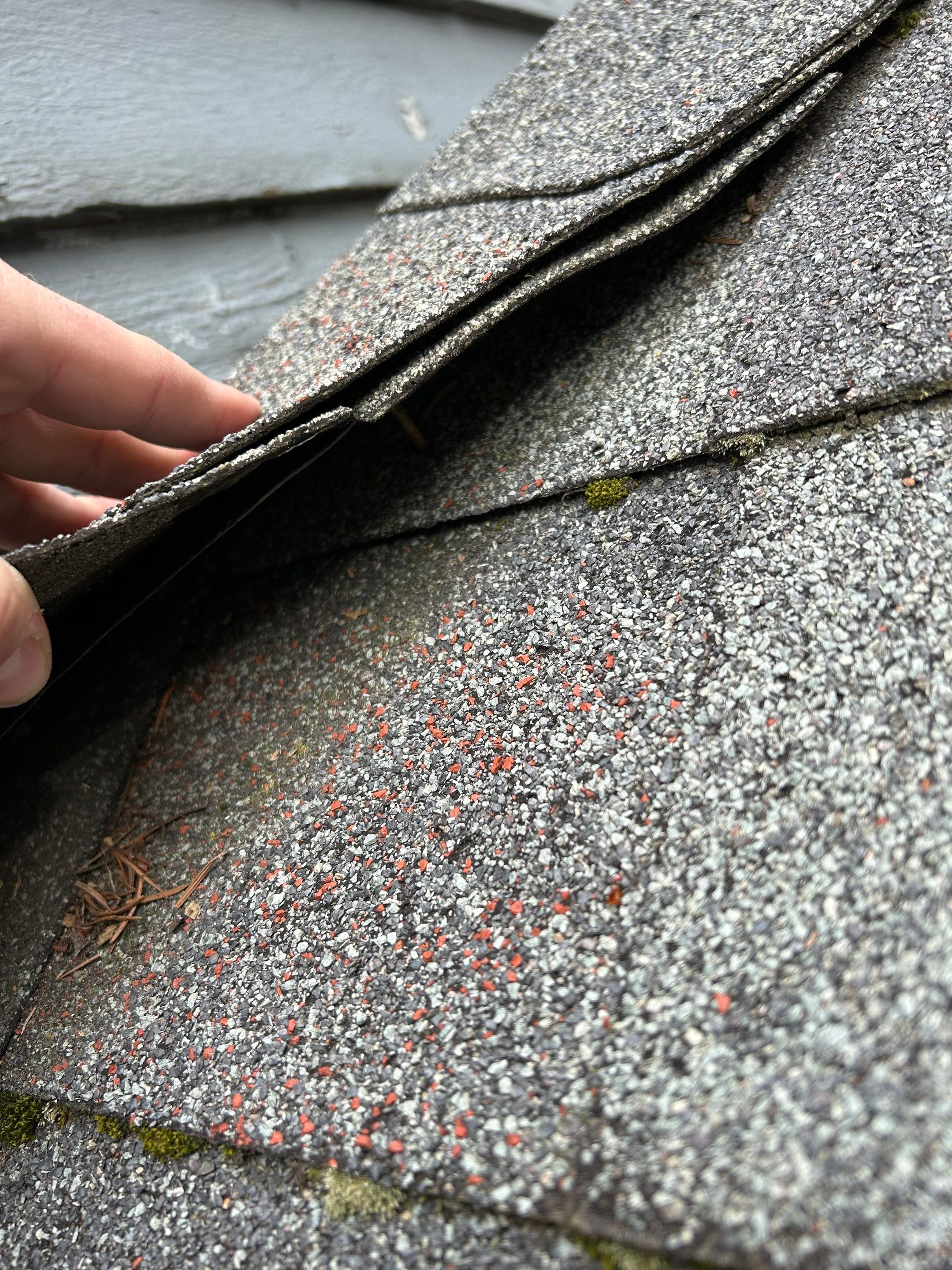 Project in Redmond by Connolly Construction Company