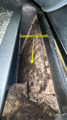 Air Duct and Dryer Vent Cleaning in Orlando