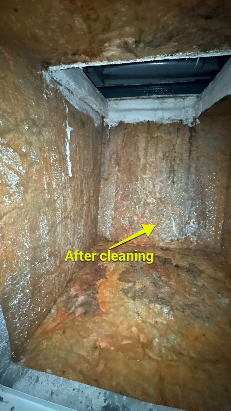 Air Duct and Repairs to Return Box in Groveland by Hygienic Air, Inc