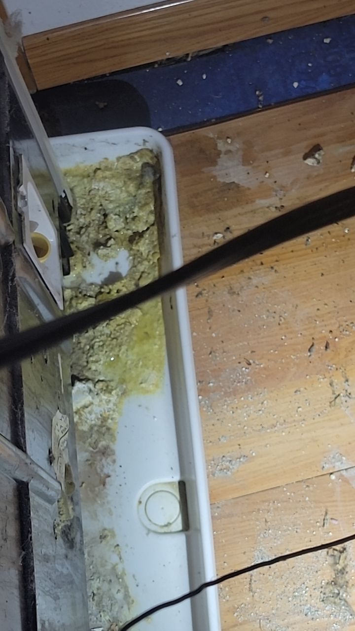 Water Damage by Accountable Home Services