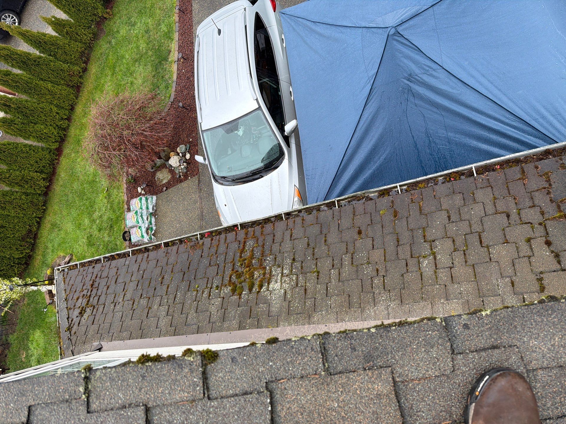 Roof Cleaning – Everett, WA by Everpro Construction