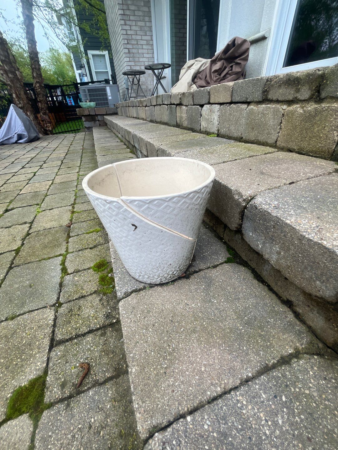 dryvit using Algaecide, soft wash soap by Northern Power Washing LLC.