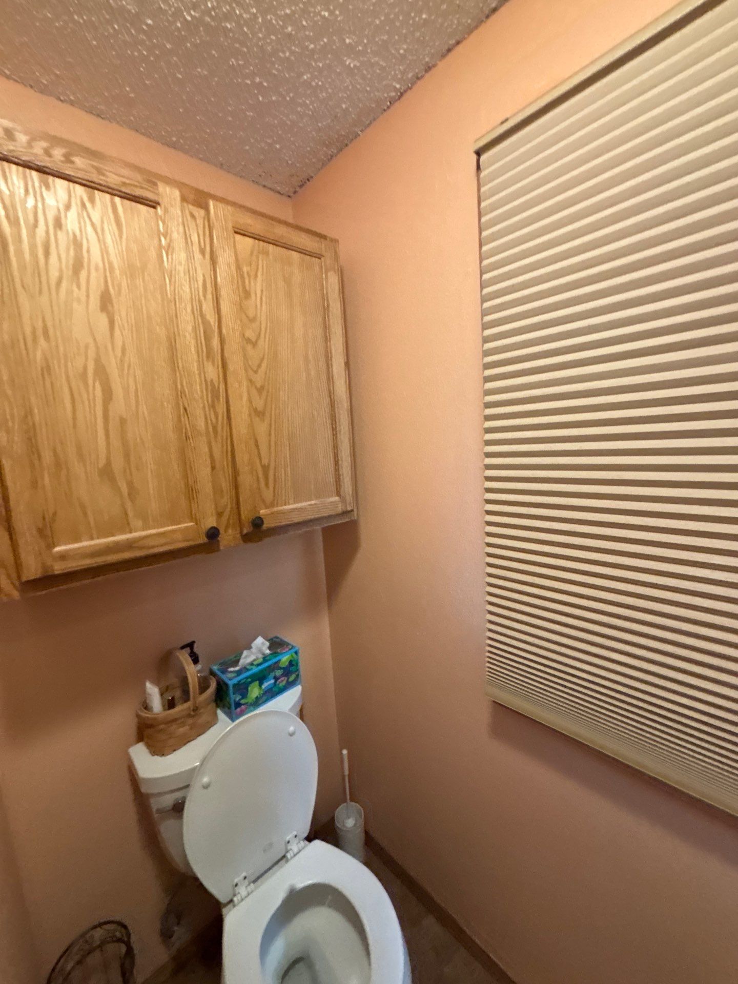 Multi-Room Interior Painting and Drywall Repair in Sioux Falls by Select Painting, Coatings & Garage Cabinets