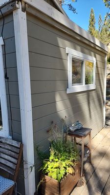 Siding Repair/Window Replacement