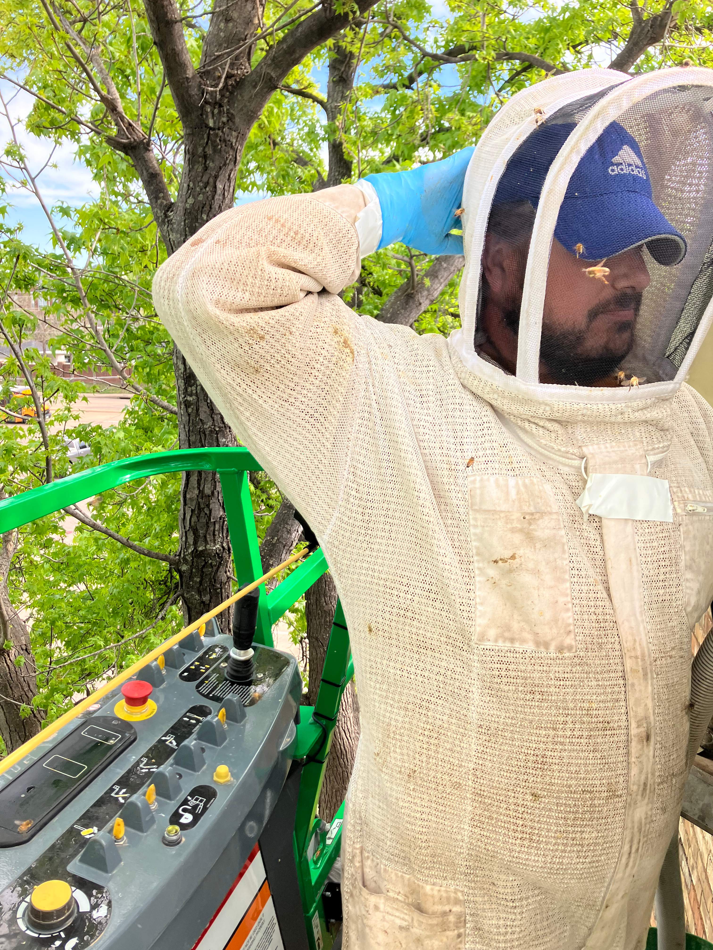 Commercial Roof by Rockwall Honey Bee Company