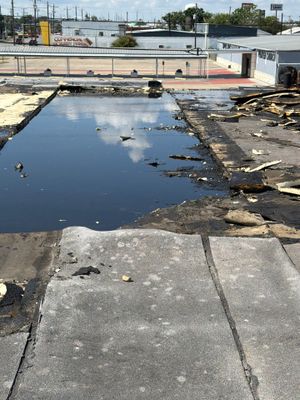 The Roof Blew Off!
