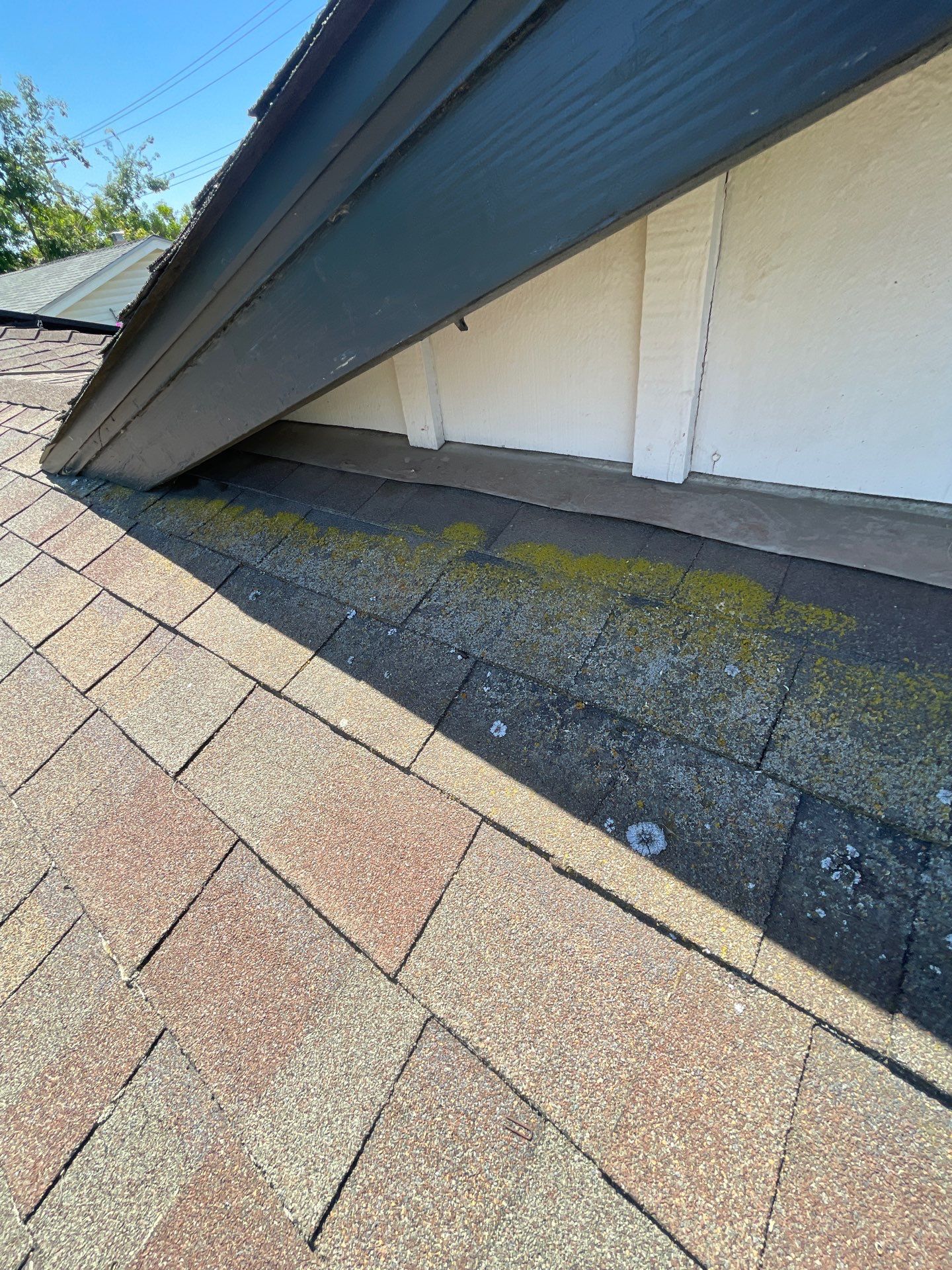 Roof Rejuvenation using Roof Maxx Treatment by Roof Maxx of Folsom