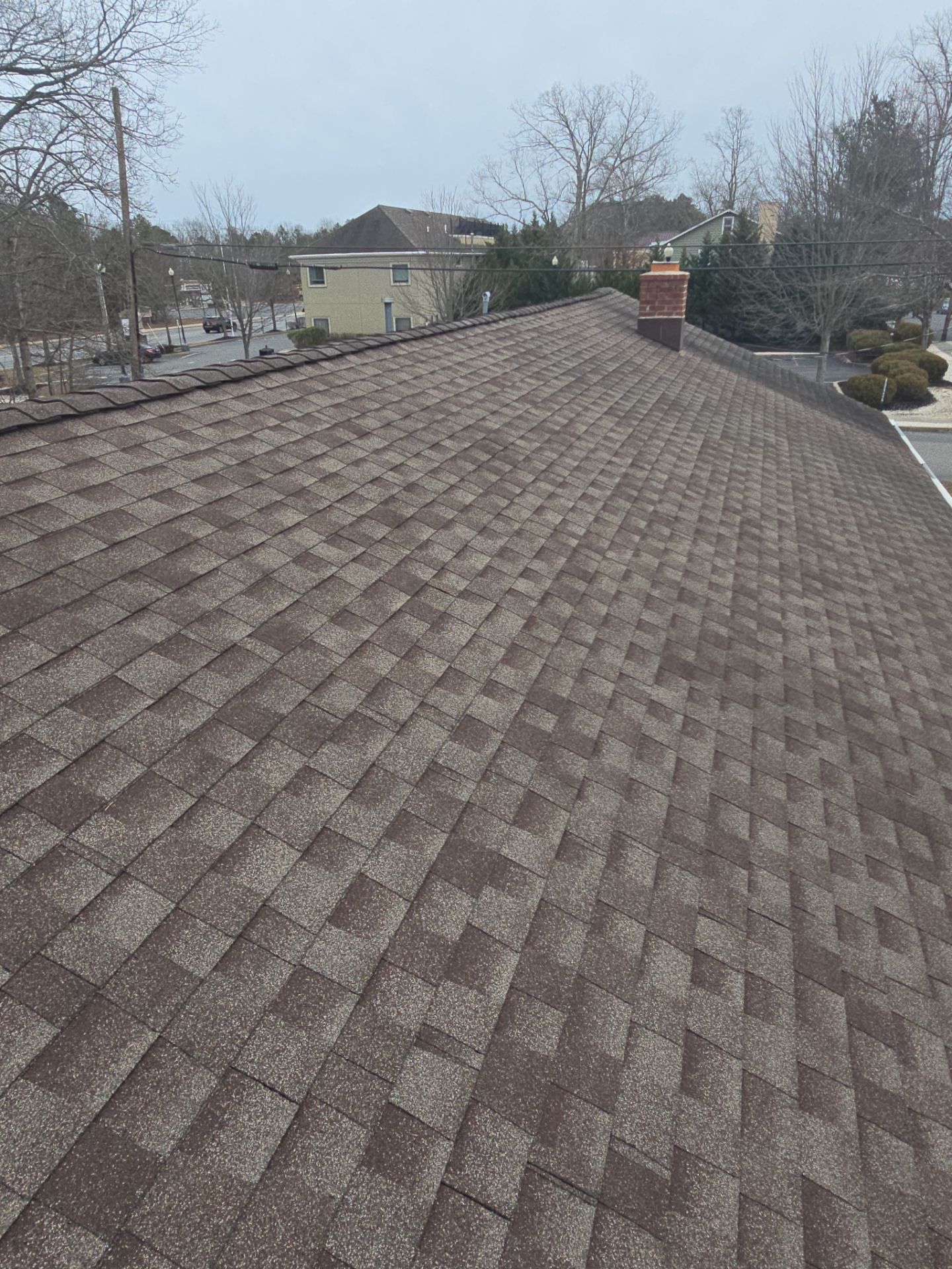 Pewter Gray Shingles by Reimagine Roofing