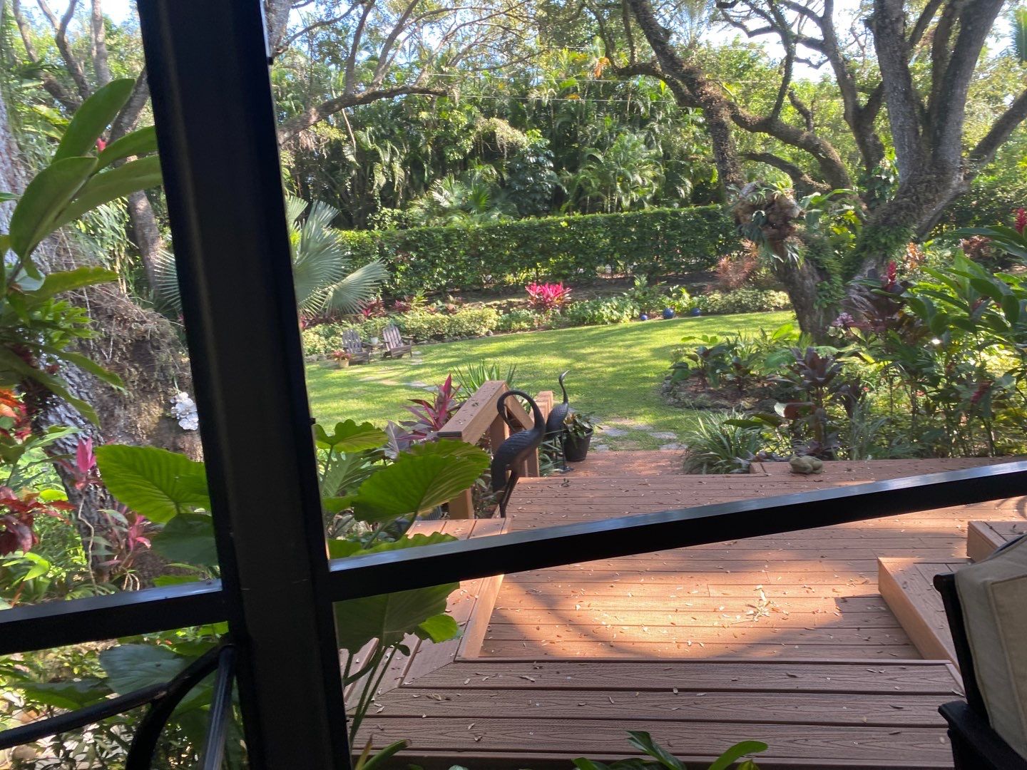 Tropical Residential Landscape in Pinecrest by Nature's Dream Landscape and Tree Service
