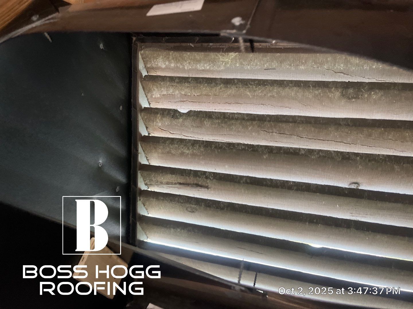 Alex M by Boss Hogg Roofing