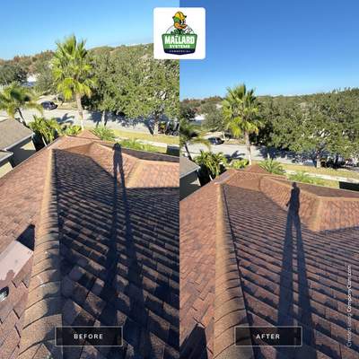 Shingle Roof Cleaning