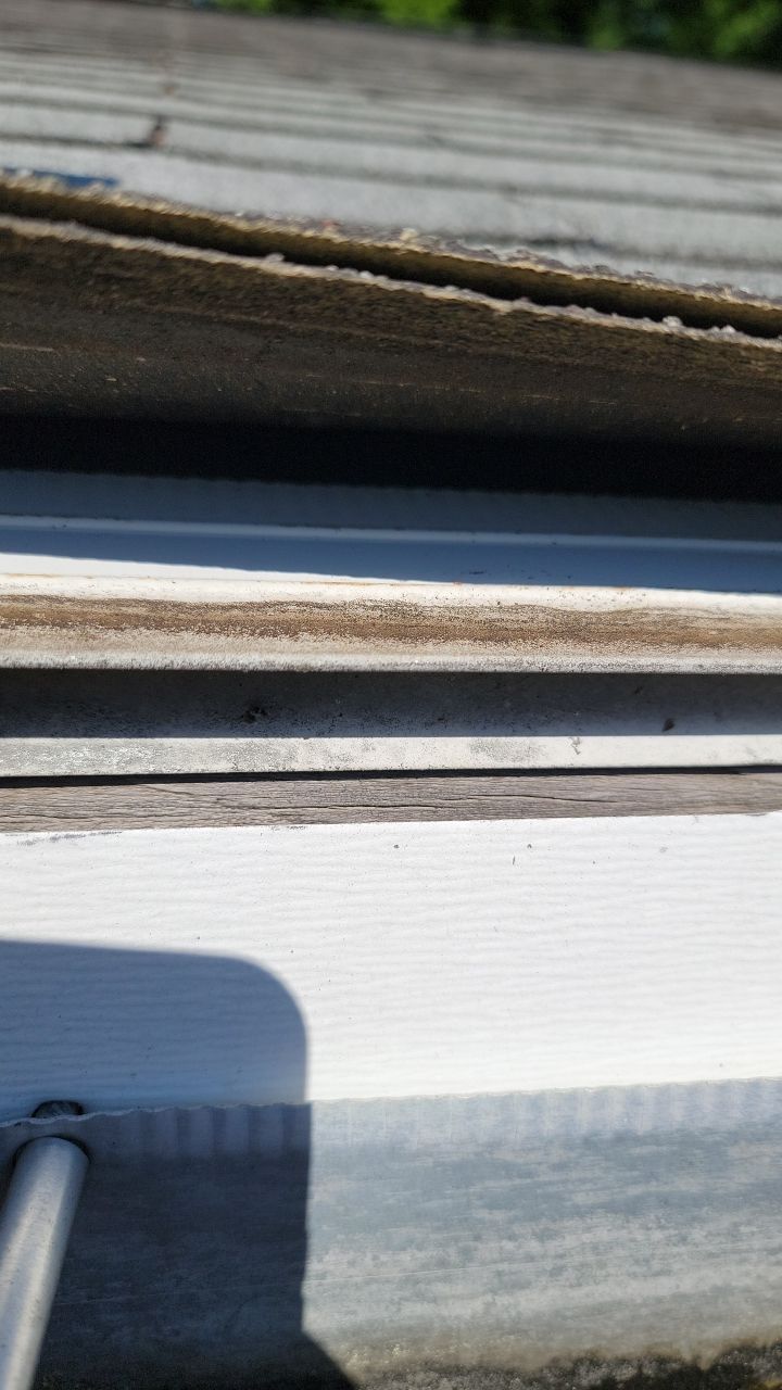 Brand: Atlas Pinnacle Color: Pristine Sunset Drip: White by Eagle Eye Roofing