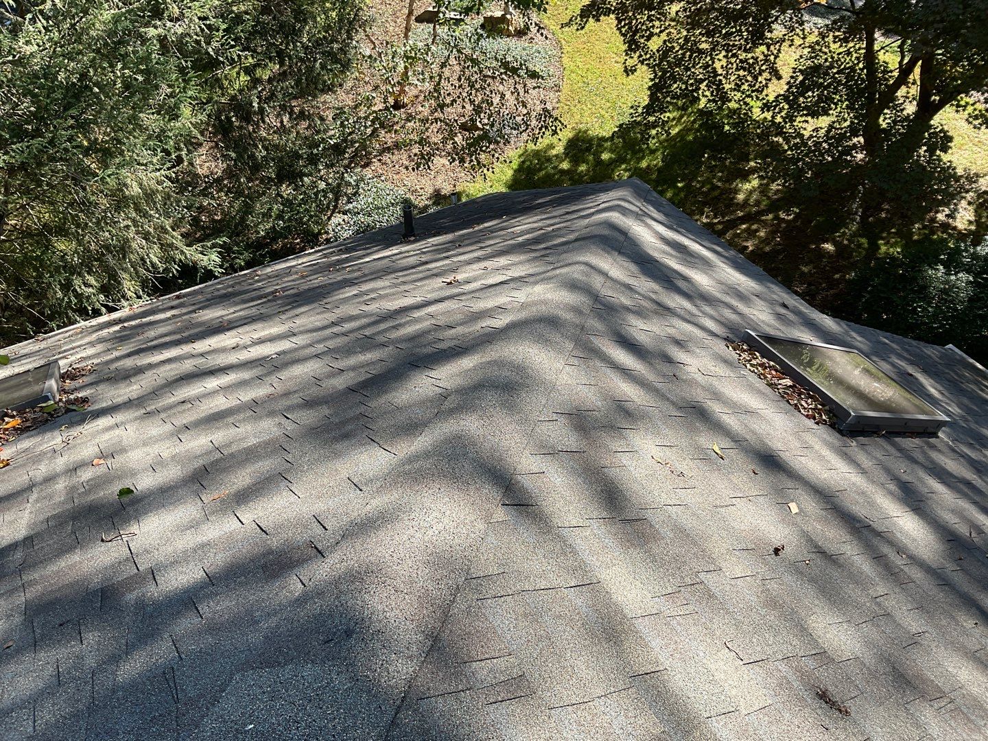 Install new shingles and new skylights  by Alpha Design Services