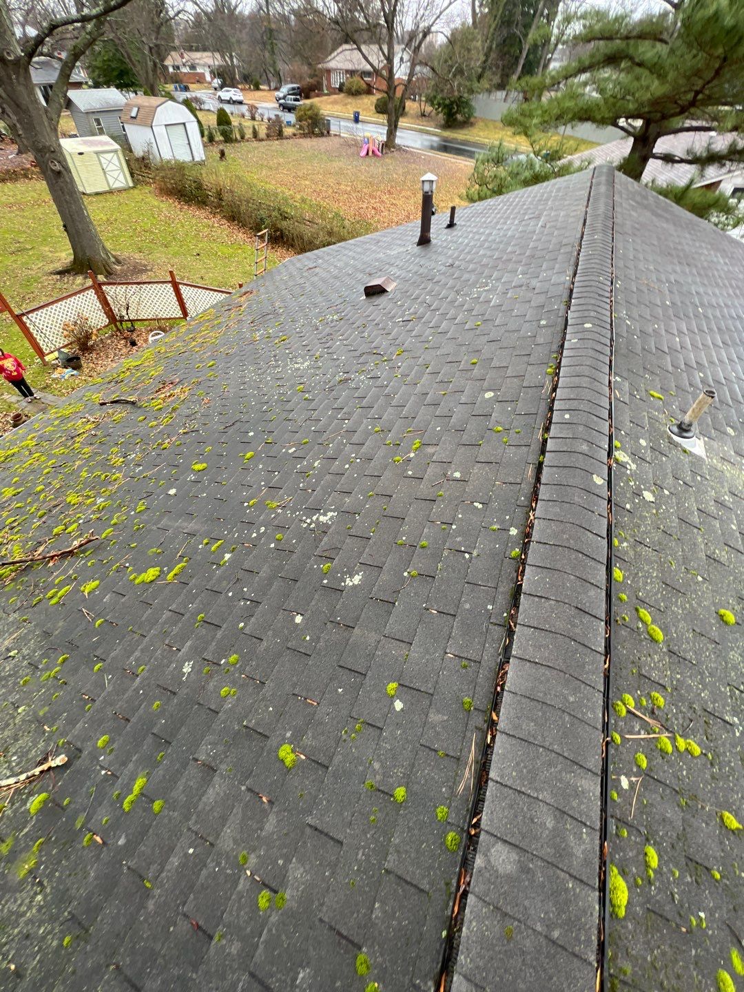 Fairfax: CertainTeed Landmark Pro Designer Shingles in Max Def Charcoal Black by RM Banning, Inc.