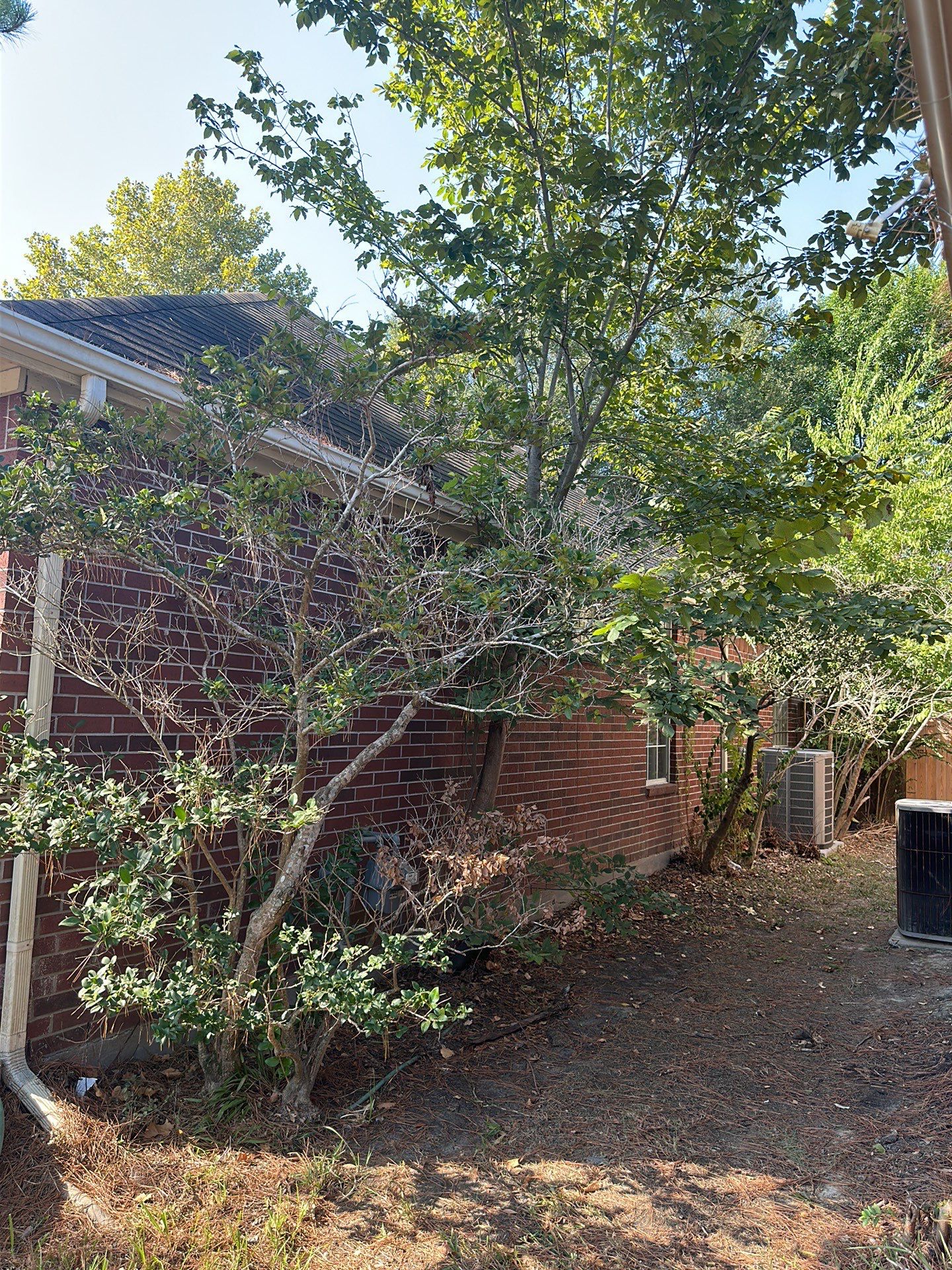 Residential Roofing Repair using Owen's Corning Duration (Lifetime) Shingles by Roof Repair Services LLC