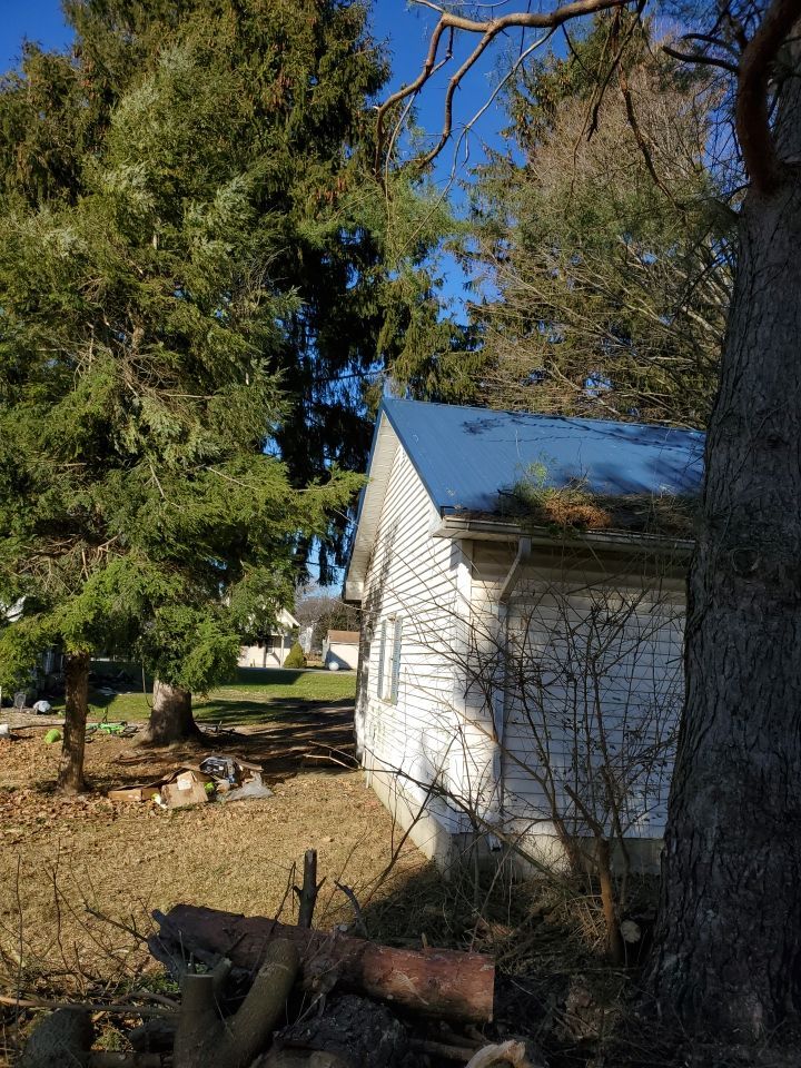 Storm Damaged Tree Removal  using Tree Removal by Mike Jones & Sons Tree Service LLC 