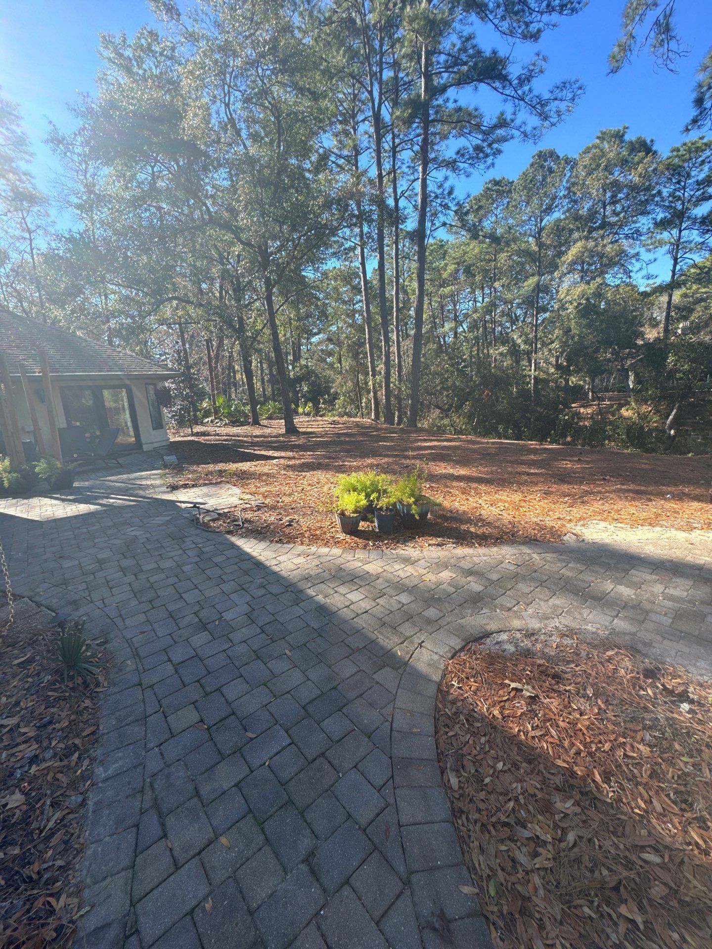 Hilton Head Island Paver Patio and Full Landscape Installation by Lowcountry Scapes, LLC