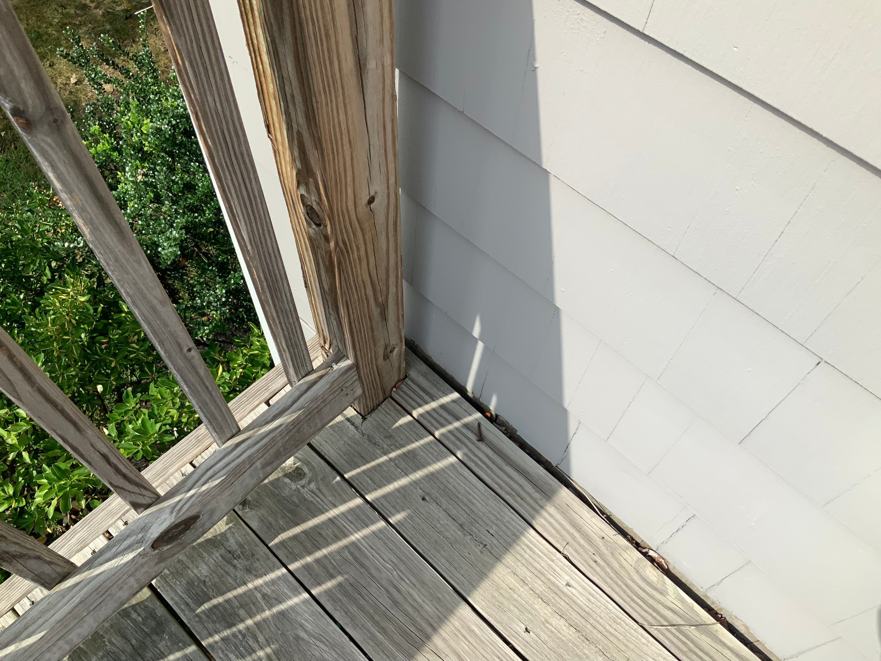 Deck Repair using Olympic Elite stains by Alpha Design Services