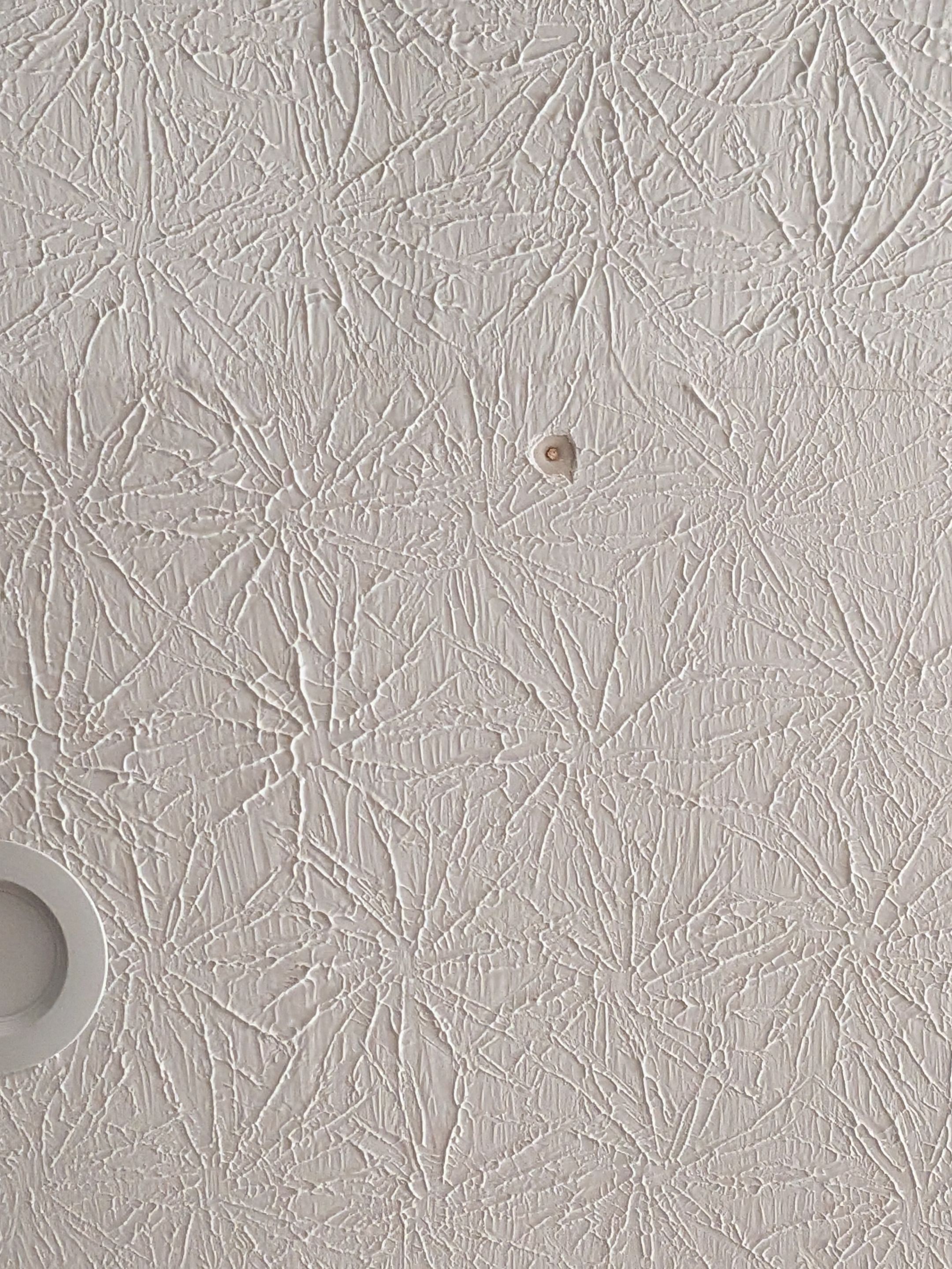 Interior Ceiling Repair in Social Circle by Praise God Painting, LLC