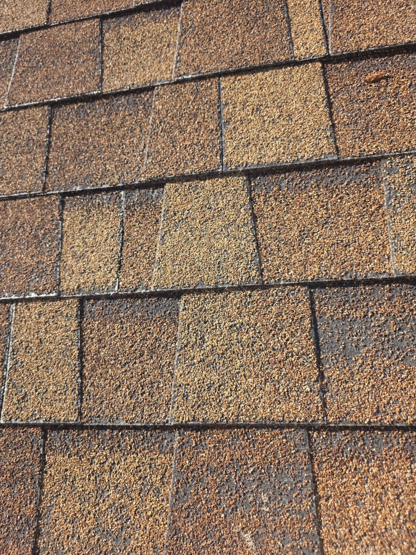 Roof Rejuvenation using Roof Maxx Treatment by Roof Maxx of Folsom