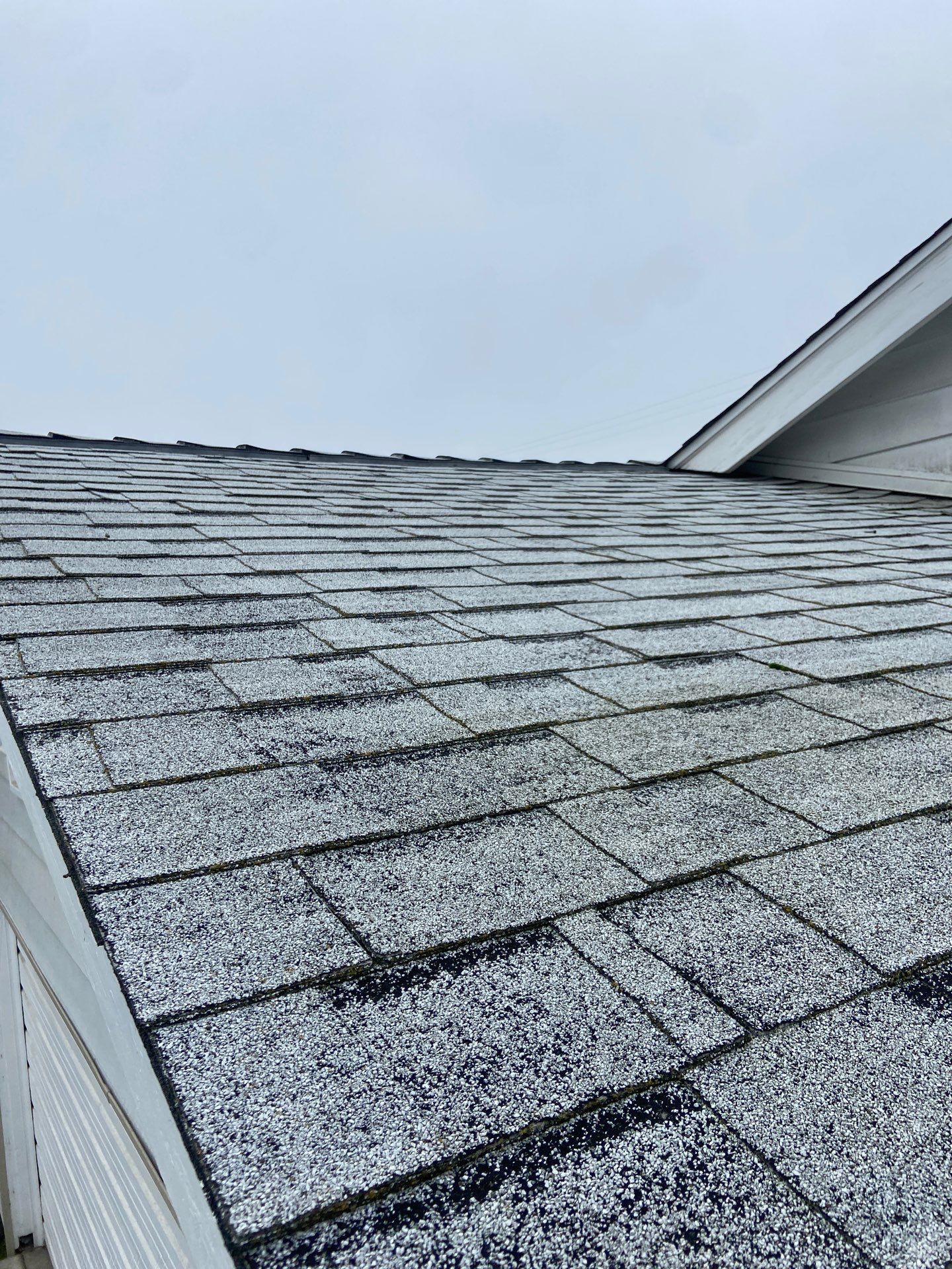 Roof Rejuvenation using Roof Maxx Treatment by Roof Maxx of Folsom