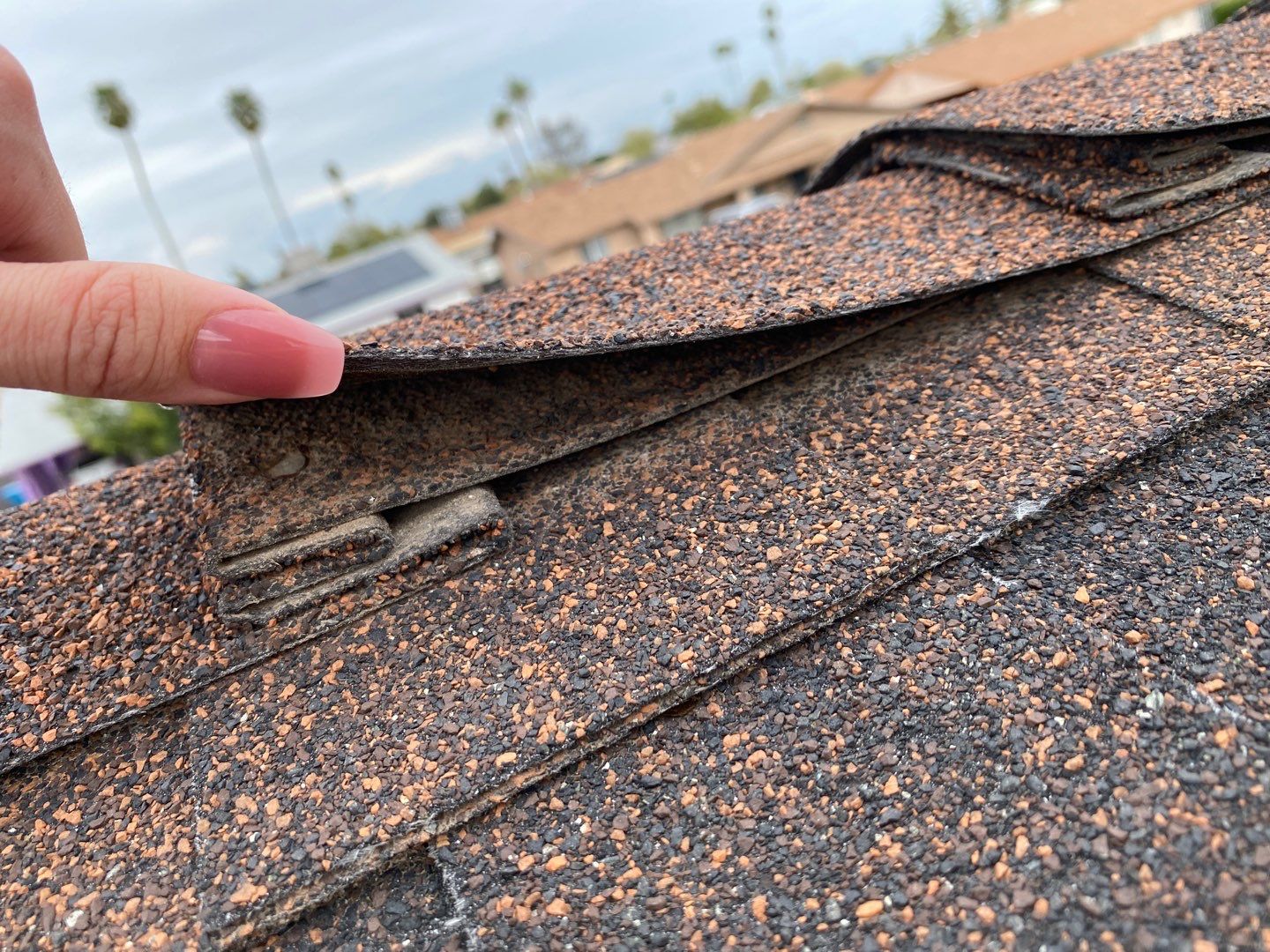 Mayra's  Full Re-roof by All Storm Roofing & Construction