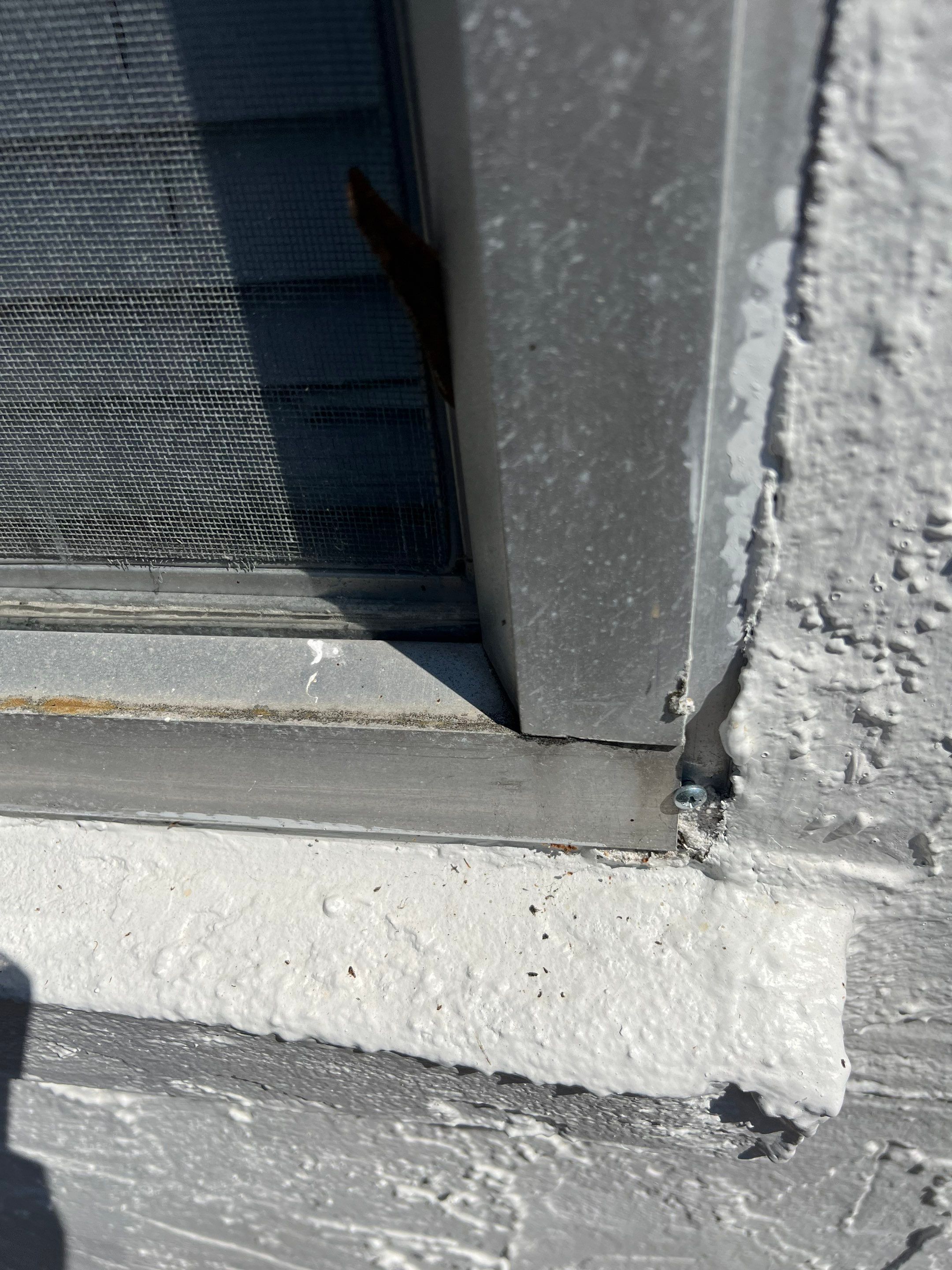 Project in Sarasota by Sunbelt Home Solutions