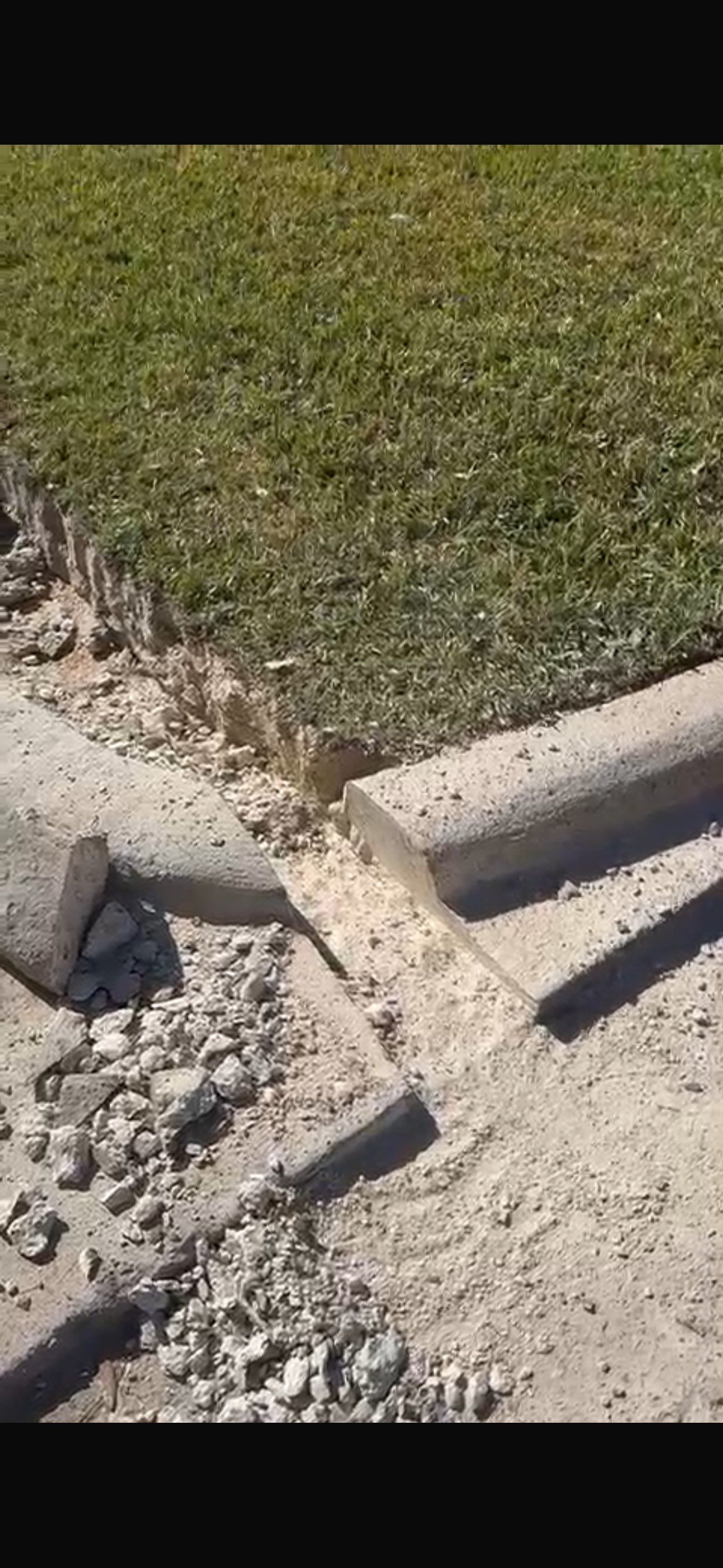 Driveway Concrete Replacement & French Drainage System by Texas Urban Elements