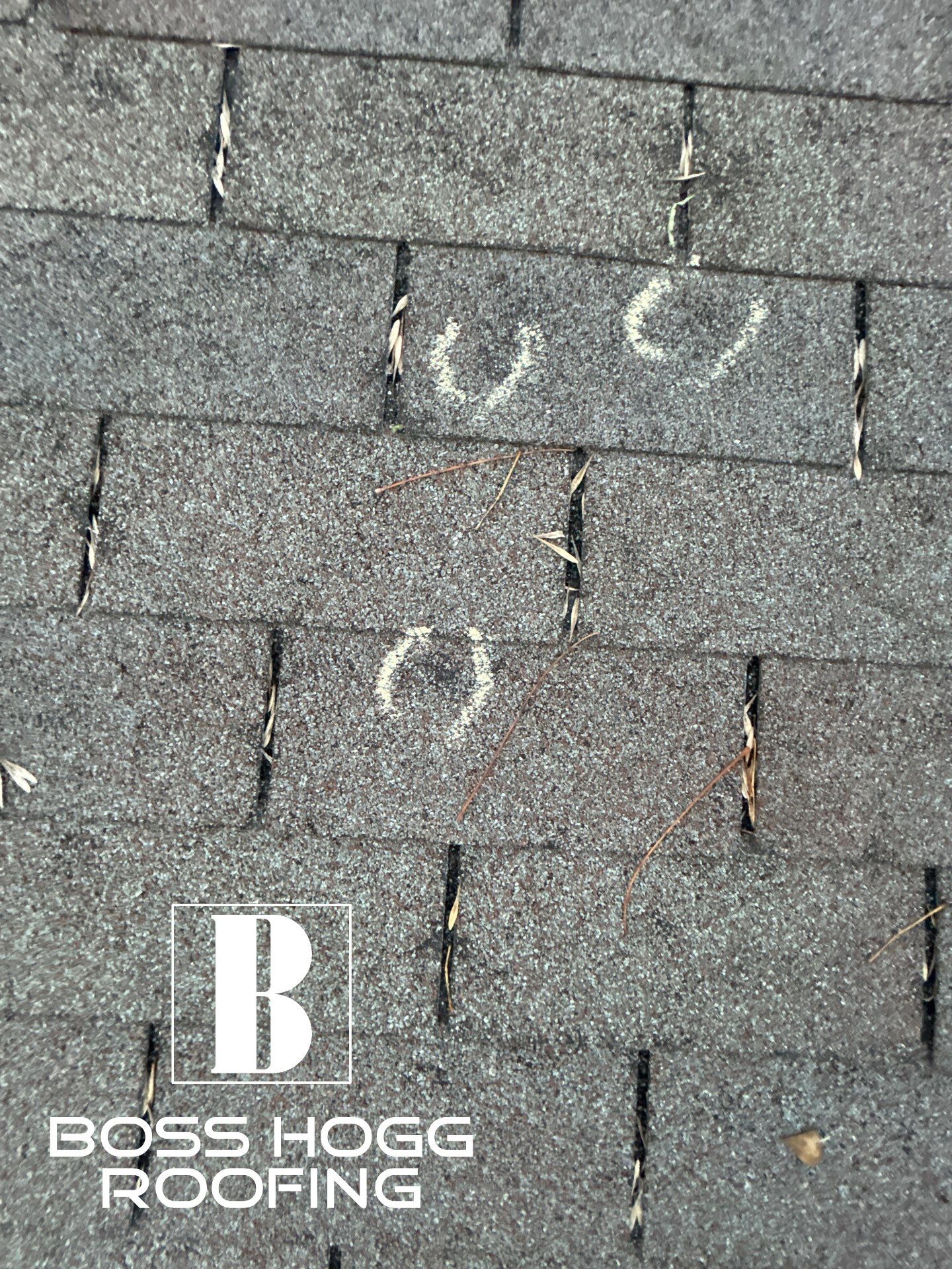 SUSANA T by Boss Hogg Roofing