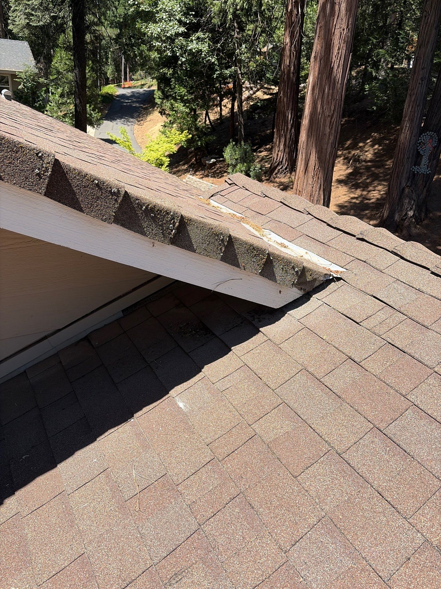 Roof Rejuvenation using Roof Maxx Treatment by Roof Maxx of Folsom