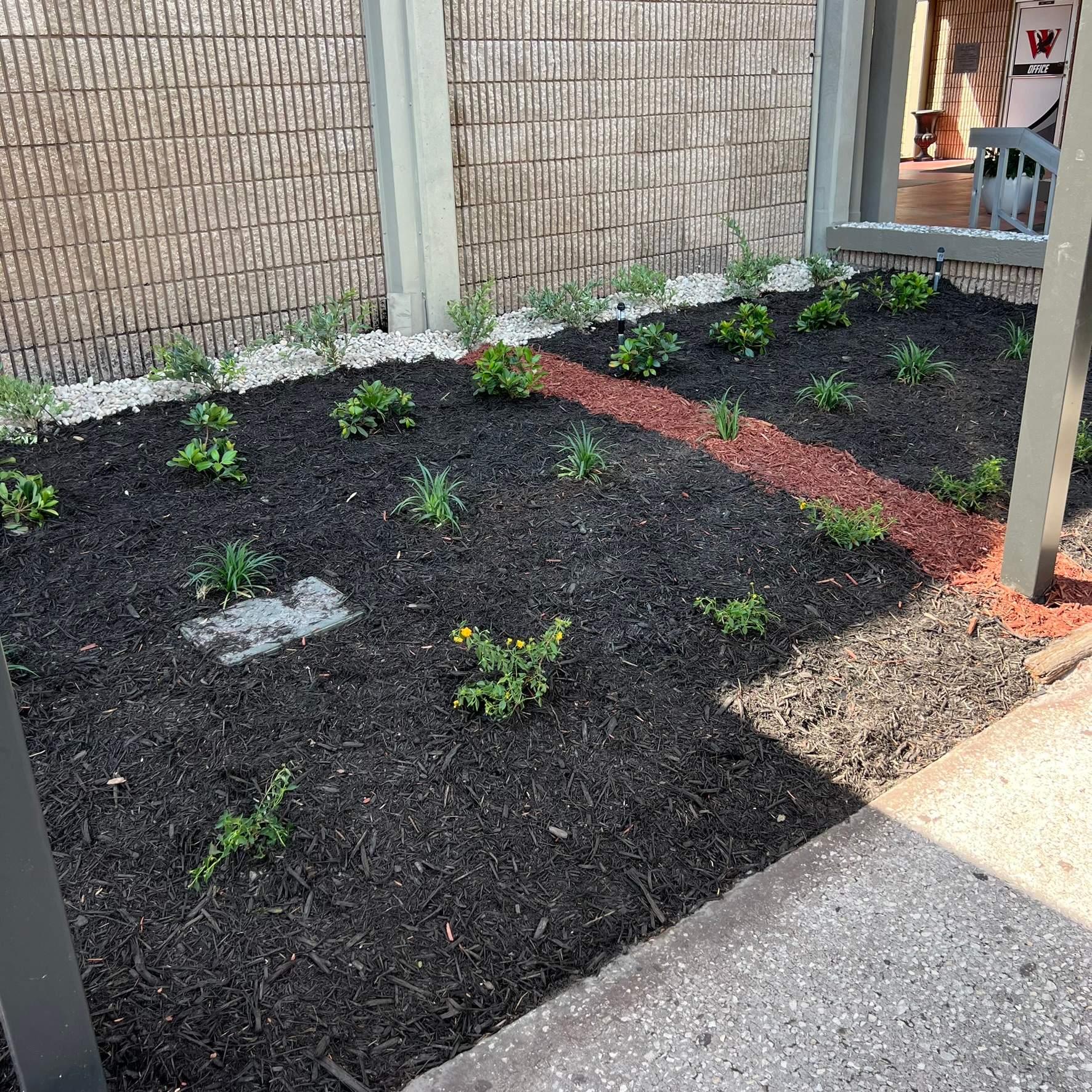 Landscape Install | Wilkinson JHS by ProGreen Services