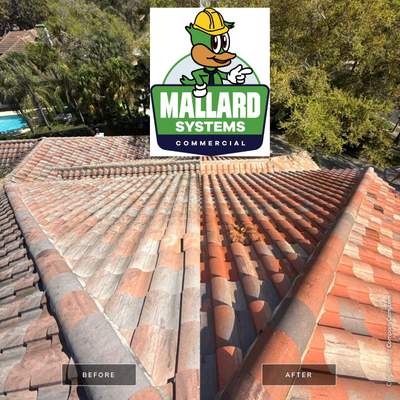 Tile Roof Cleaning