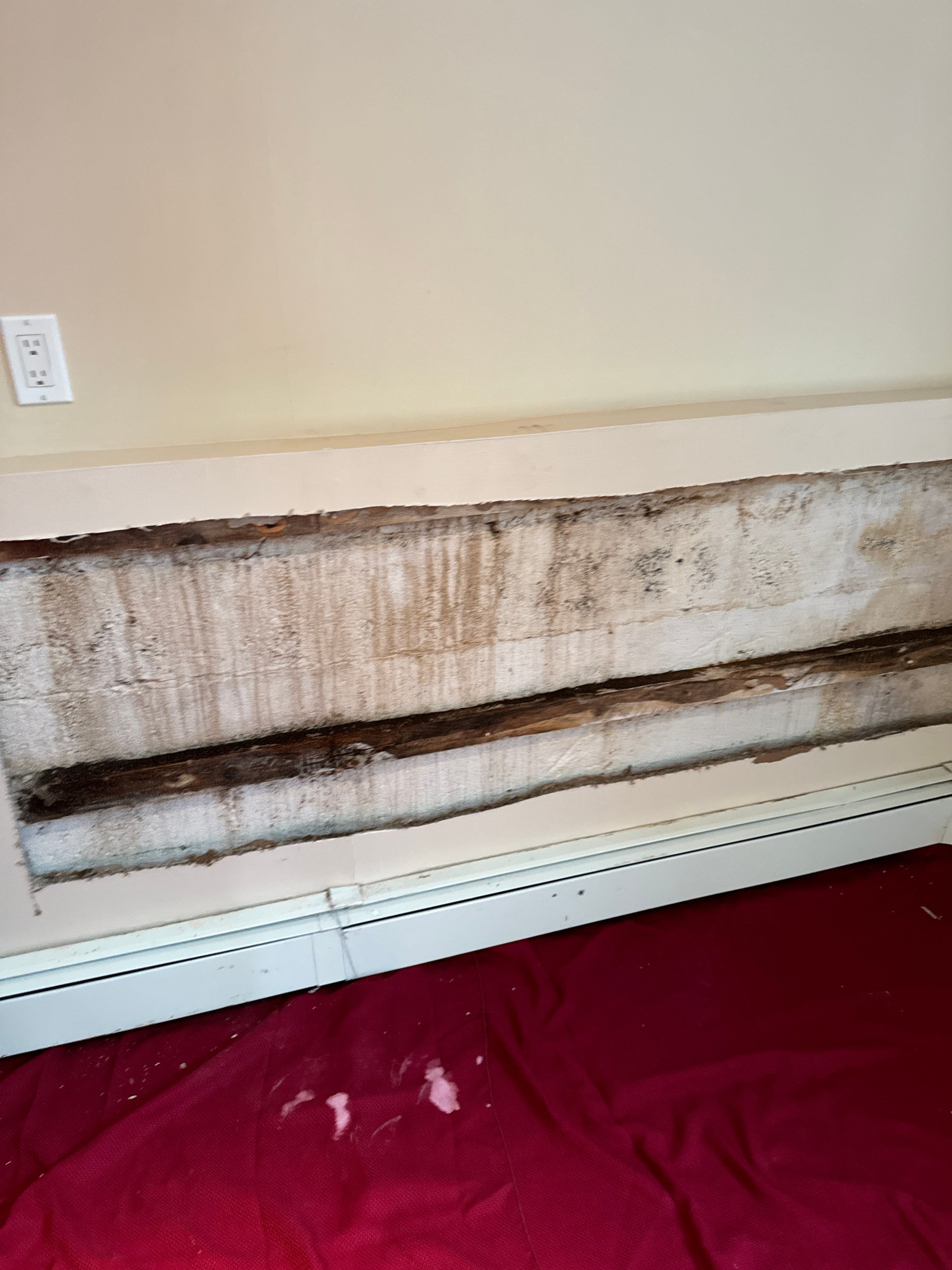 Basement Waterproofing Parsippany NJ by Pure Service Pro, LLC 