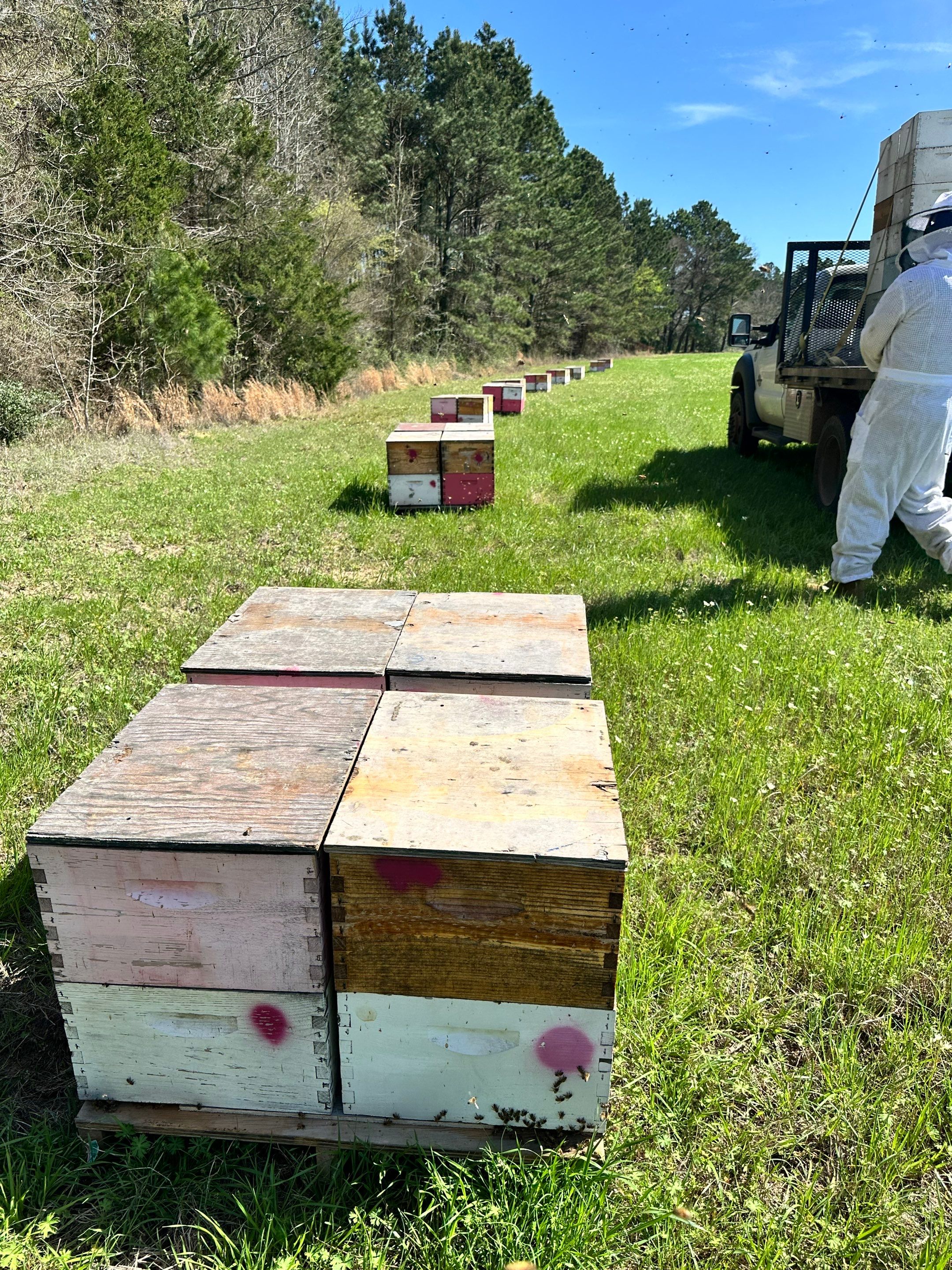 W Family Apiary by Rockwall Honey Bee Company