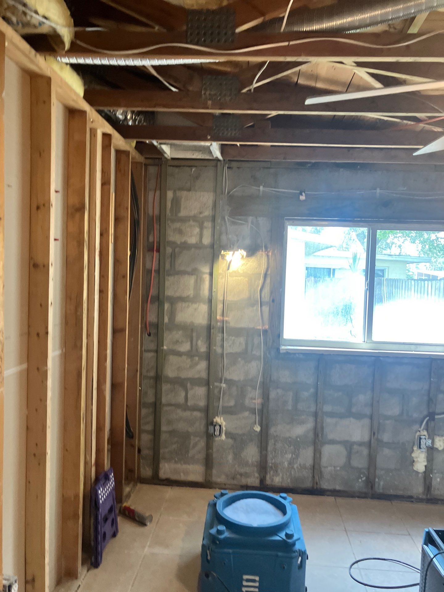 Home Mold Removal by Ampm Restoration Services